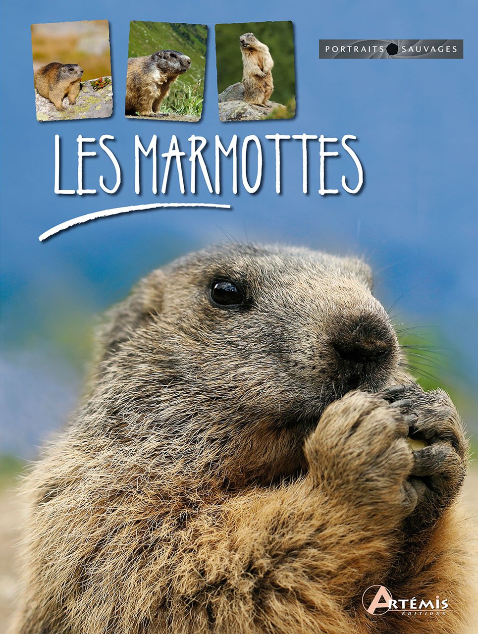 MARMOTTES 9782816001792
