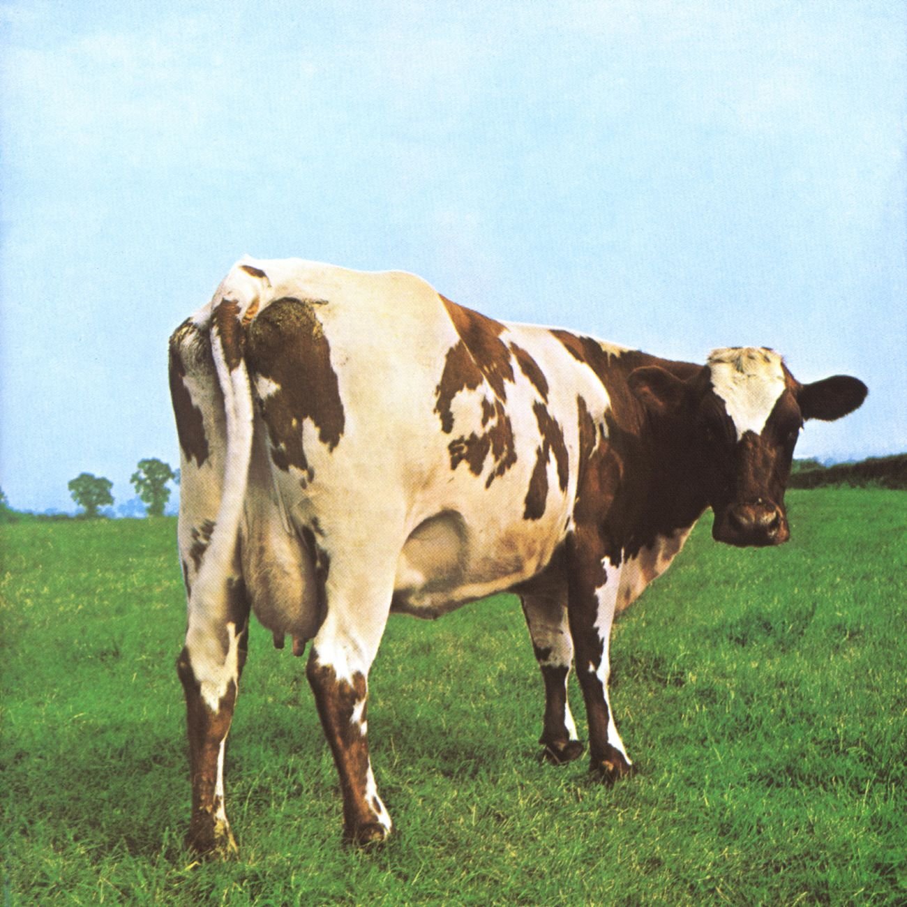 Atom Heart Mother 0724383124626