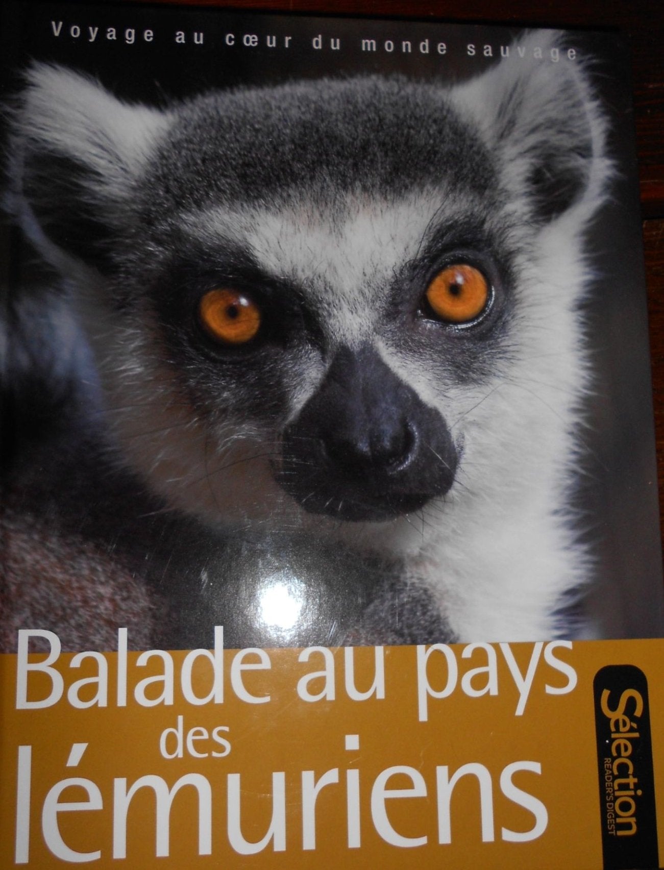BALADE AU PAYS DES LEMURIENS 9782709824132