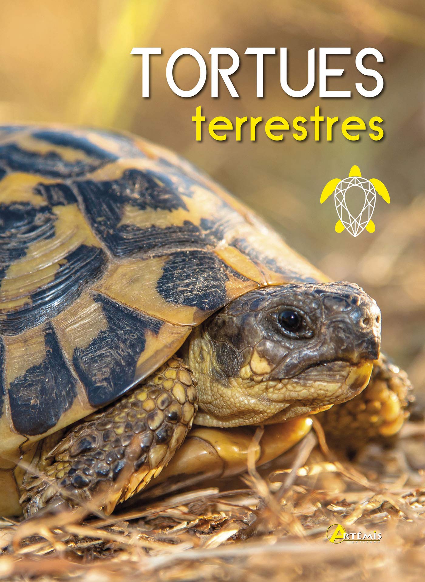 Tortues terrestres 9782816012941