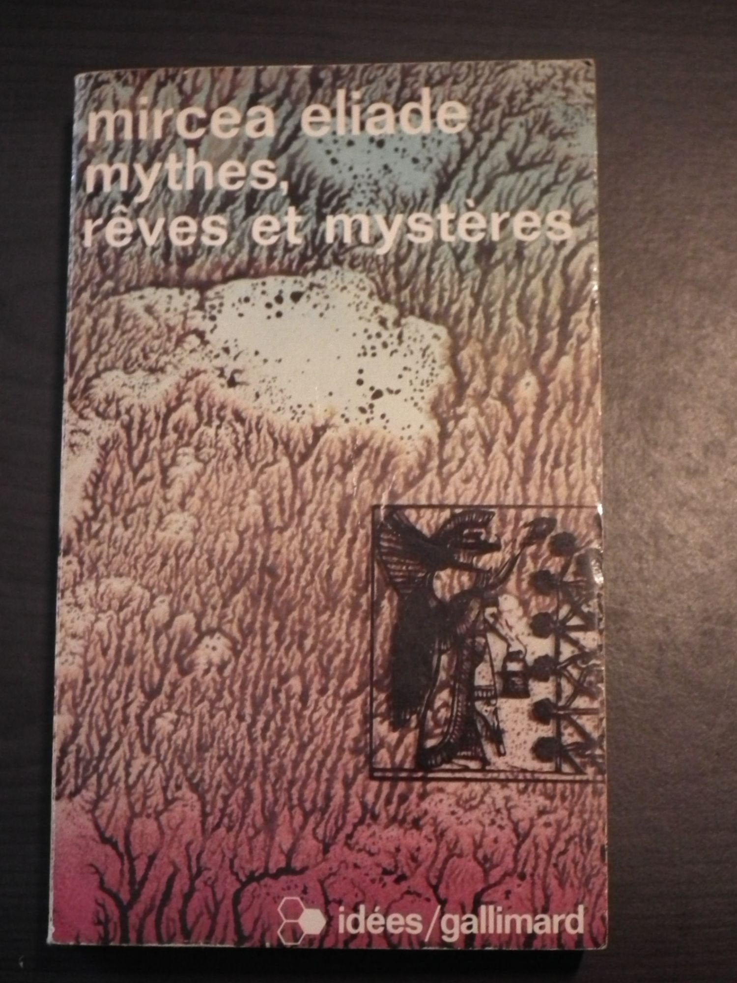 MYTHES, REVES ET MYSTERES 9782070352715