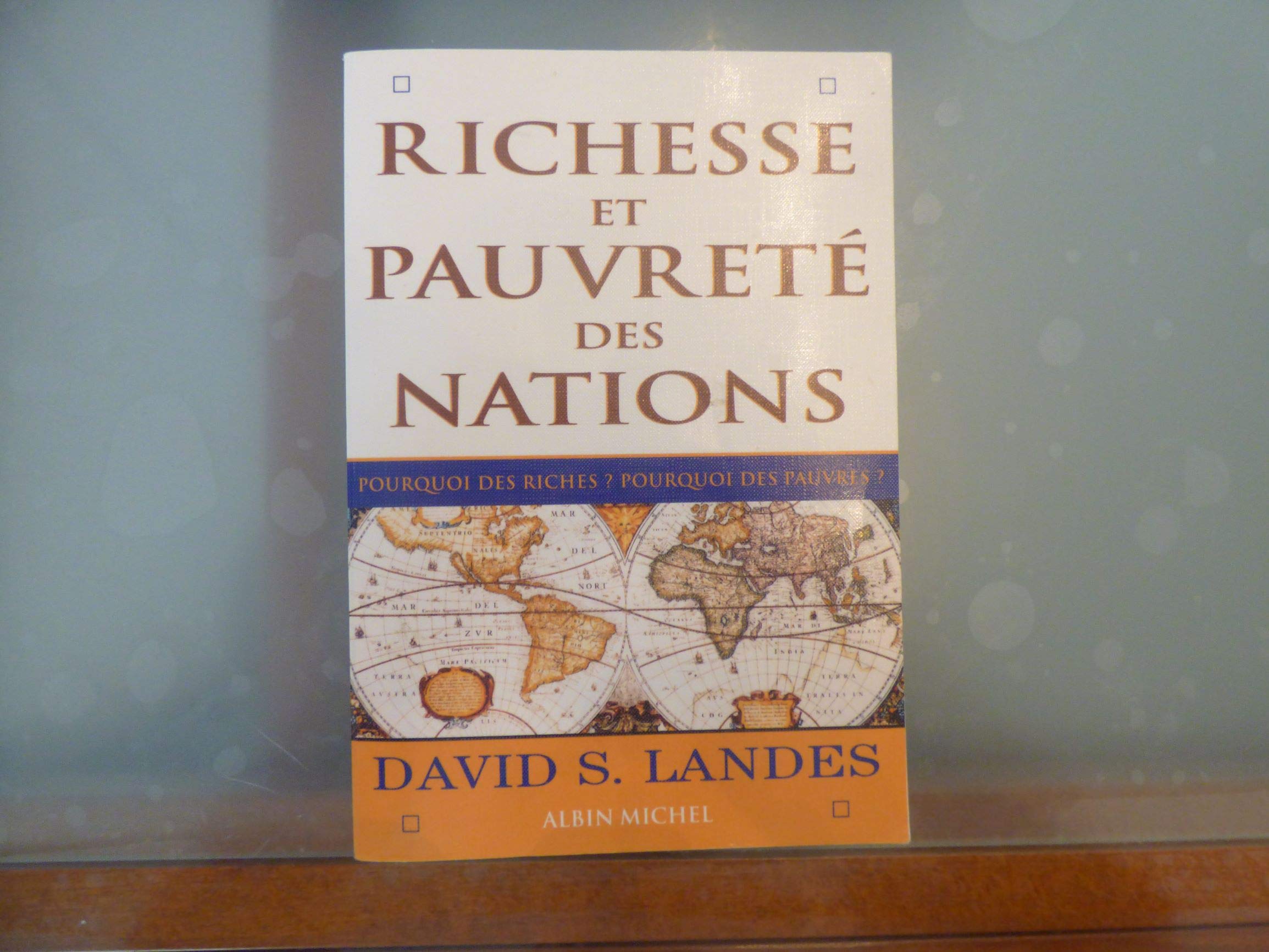 Richesse et pauvreté des nations 9782226110381