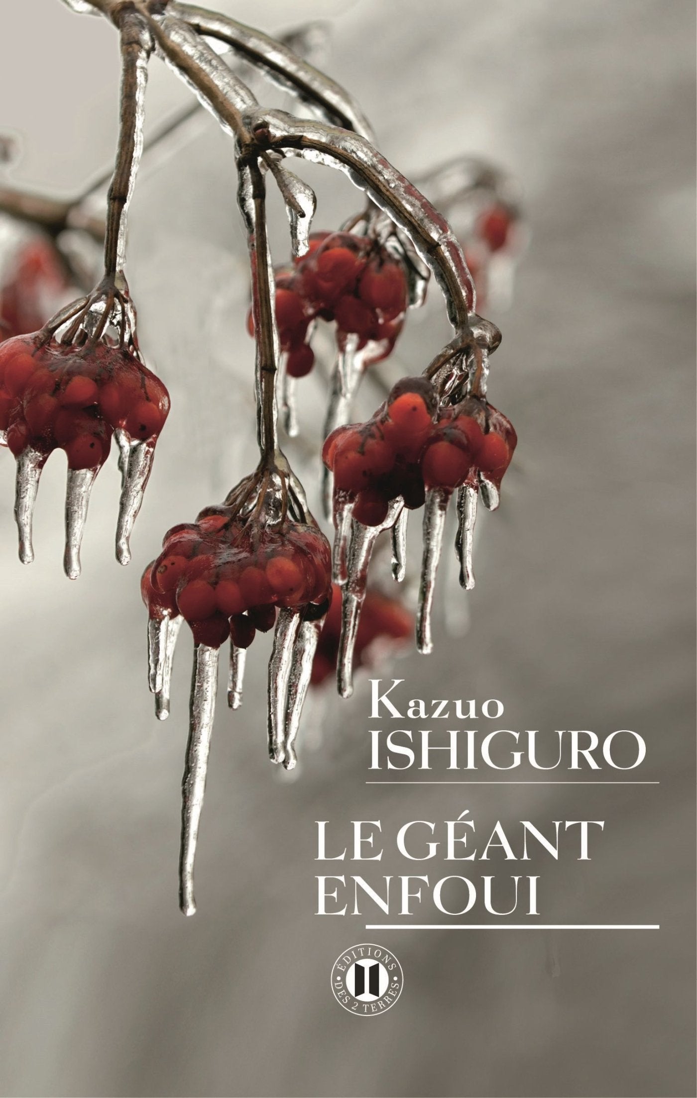 Le géant enfoui 9782848932132