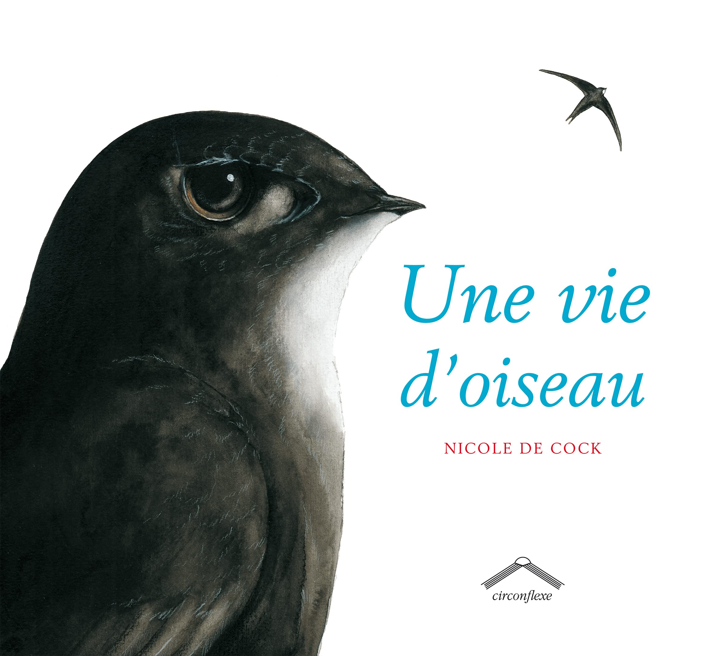 Une vie d'oiseau 9782878335941