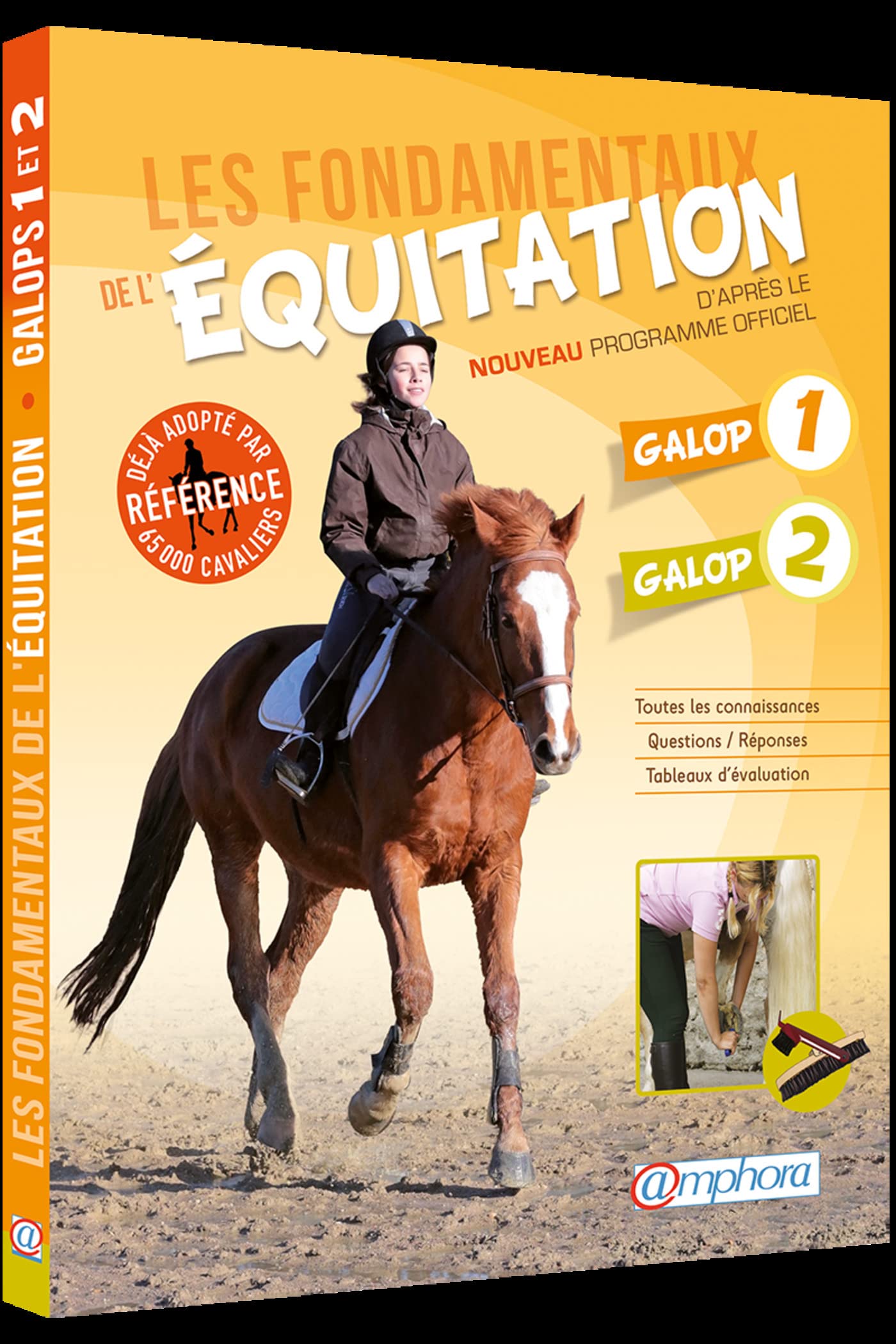 Les fondamentaux de l'équitation: D'après le nouveau programme officiel 9782851808523
