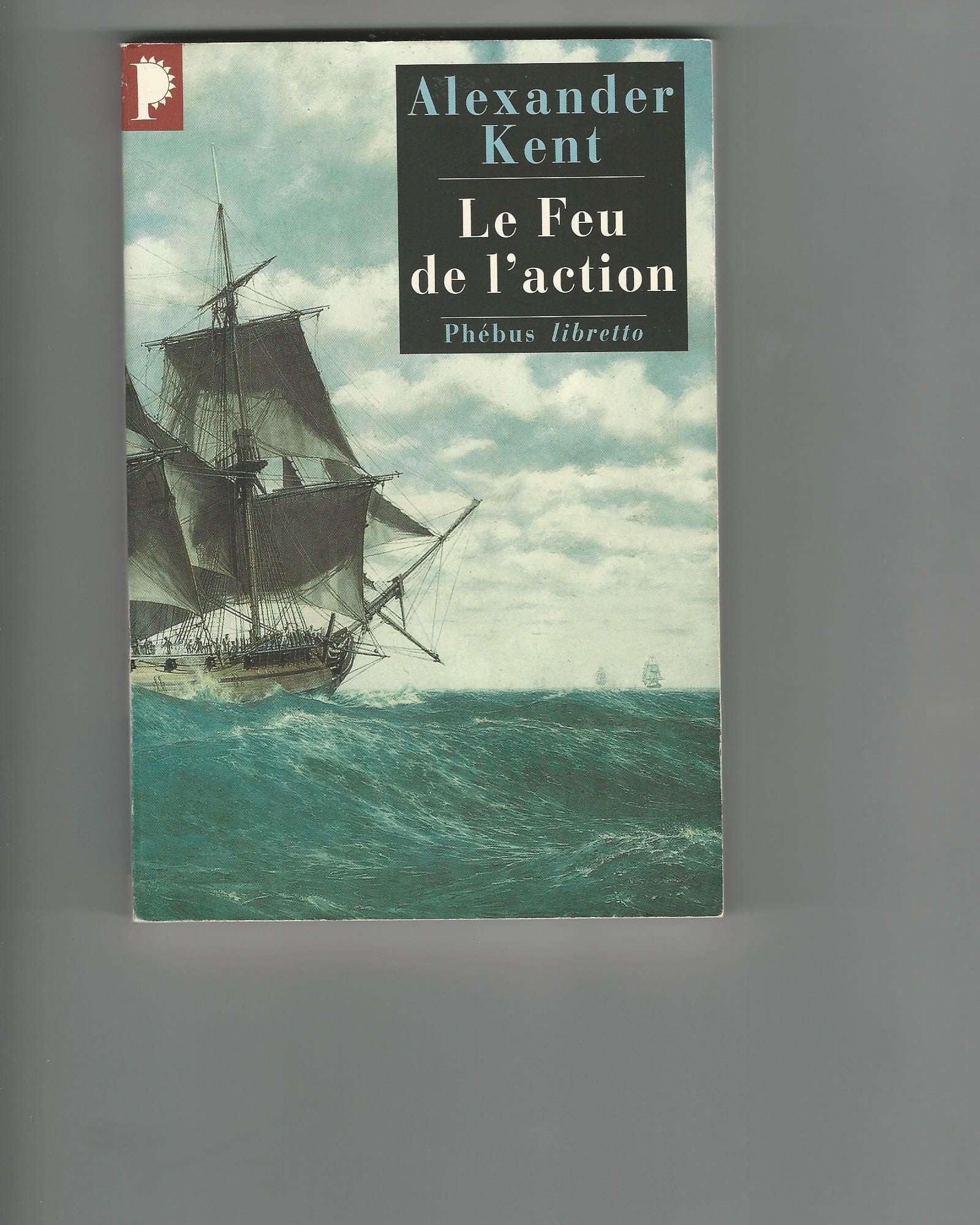 Le feu de l'action 9782859404338