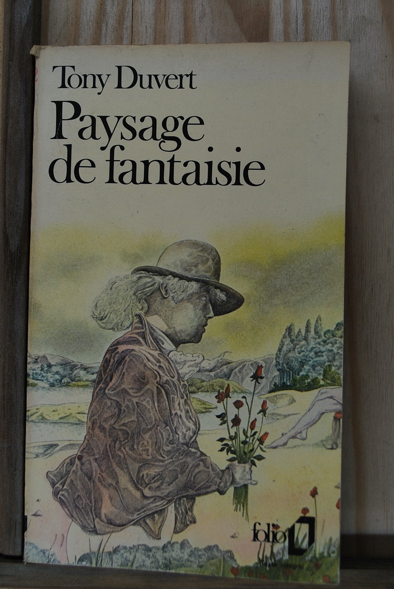 Paysage de fantaisie 