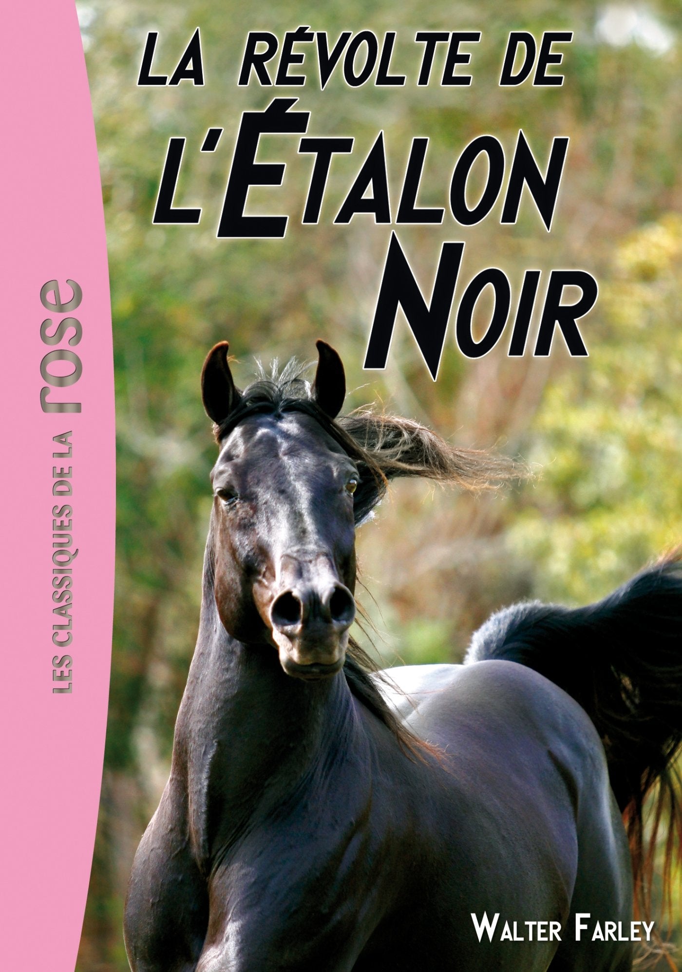 L'Étalon Noir 06 - La révolte de l'Étalon Noir 9782012025707