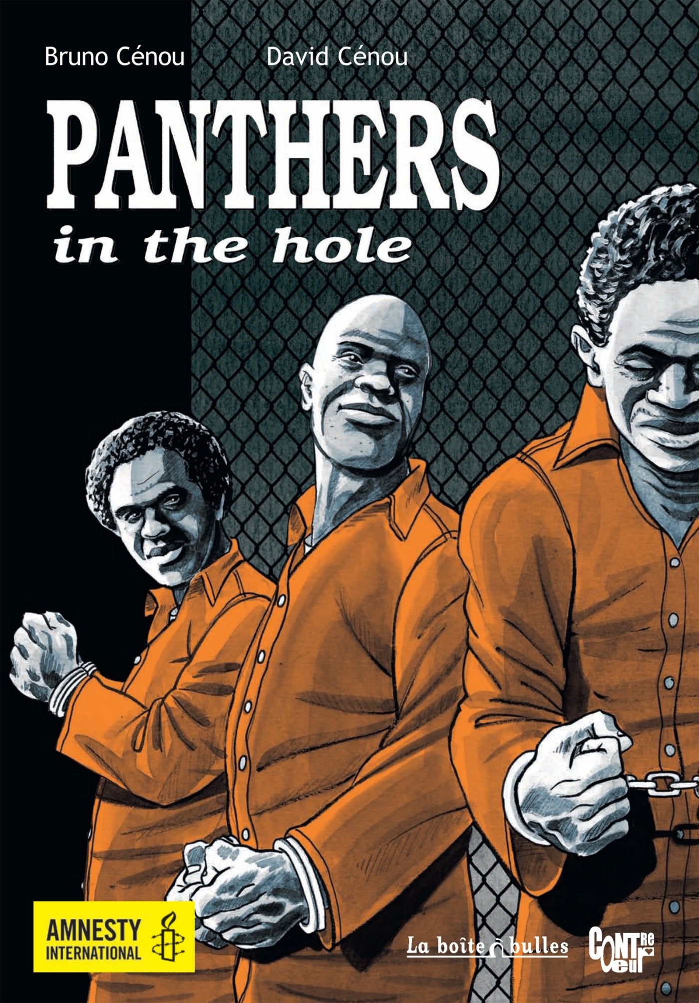 Panthers in the hole 9782849531952