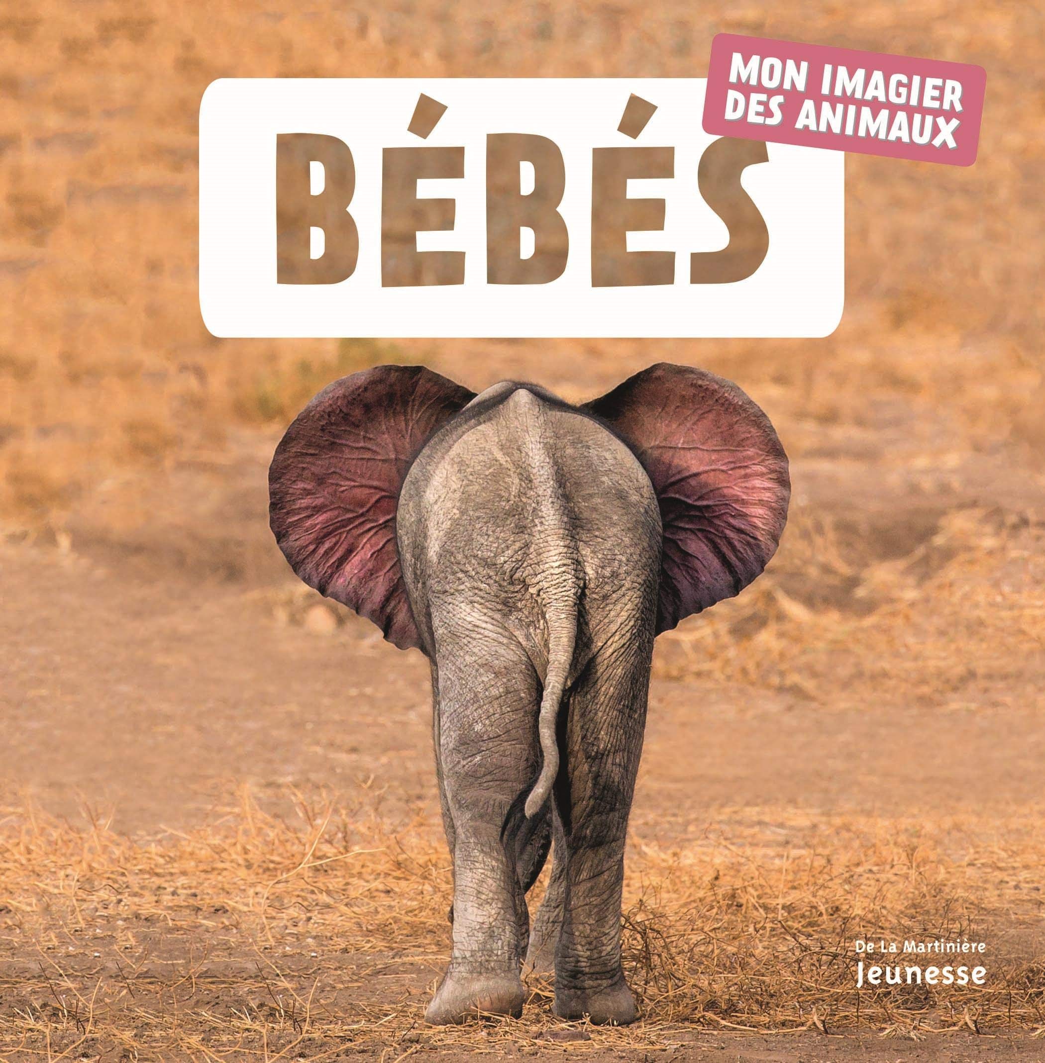 Bébés: Mon imagier des animaux 9782732490625