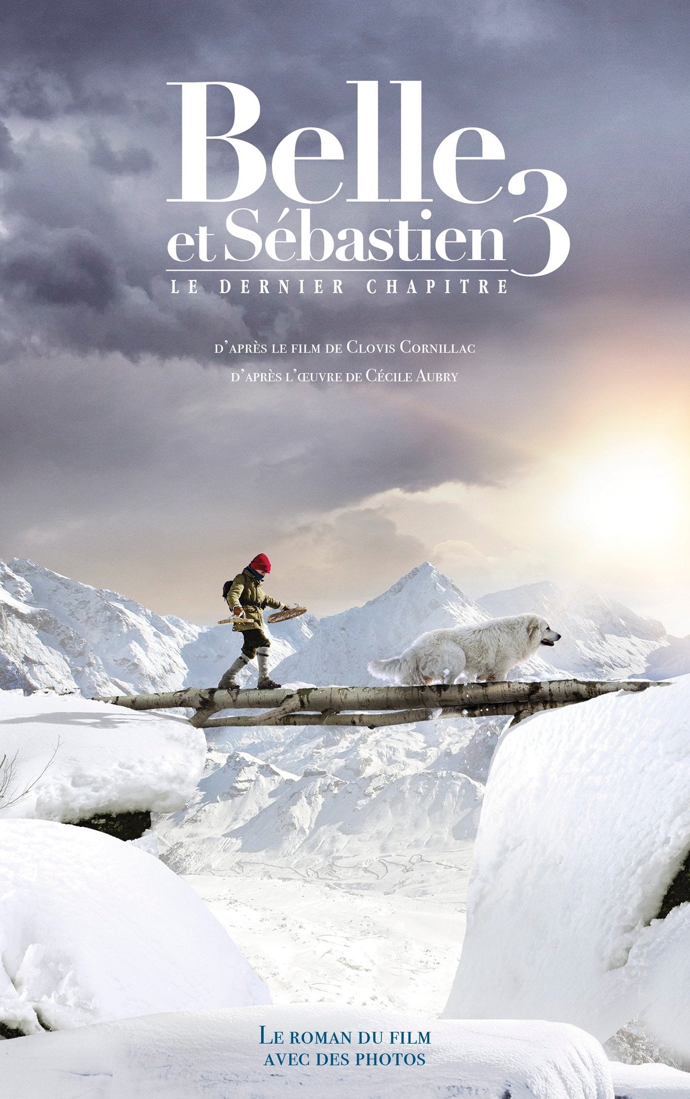 Belle et Sébastien - Le Dernier Chapitre: Novélisation - Tome 3 9782016269138