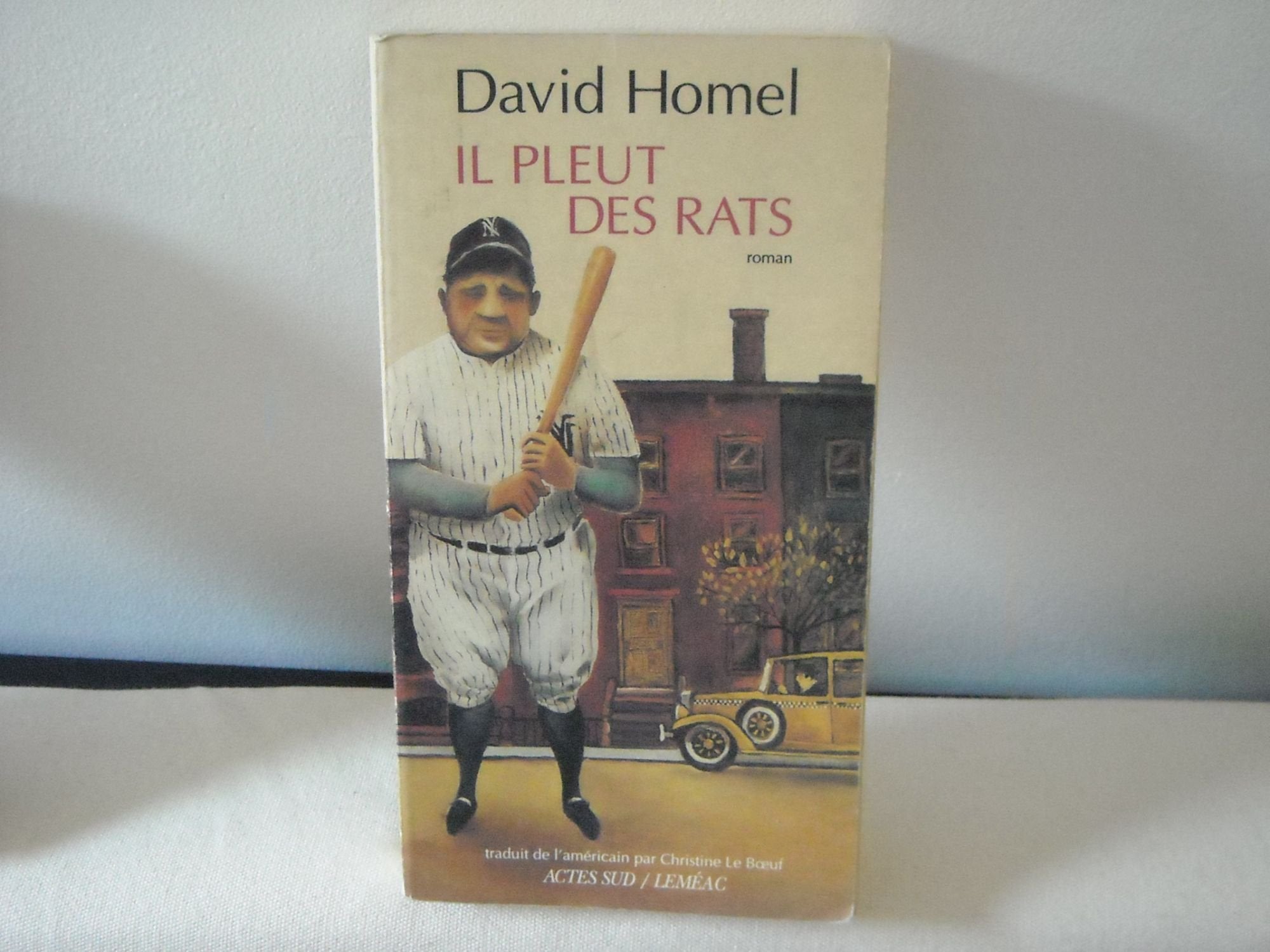 Il pleut des rats 9782868698681