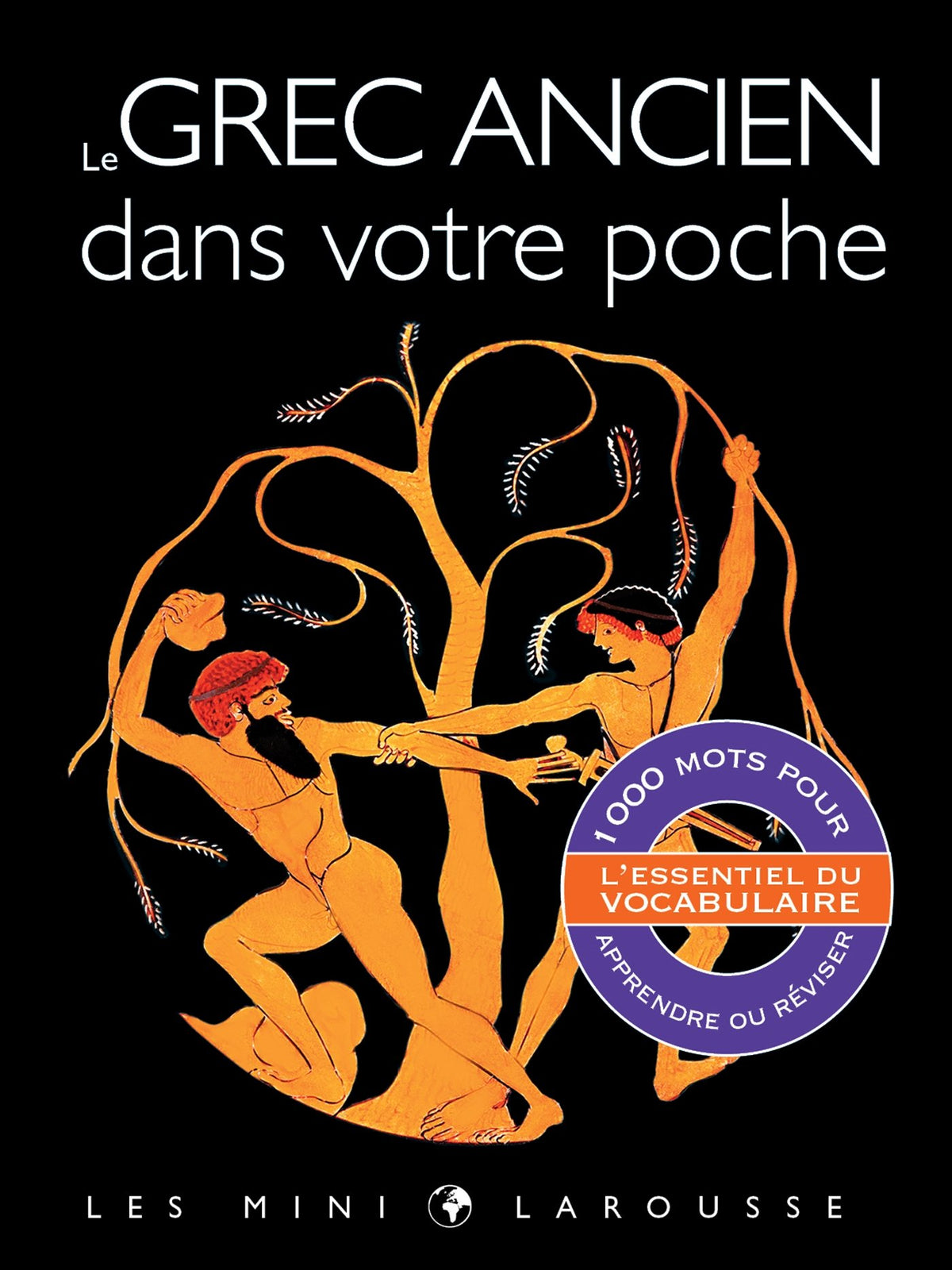 Le grec ancien dans votre poche 9782035901972