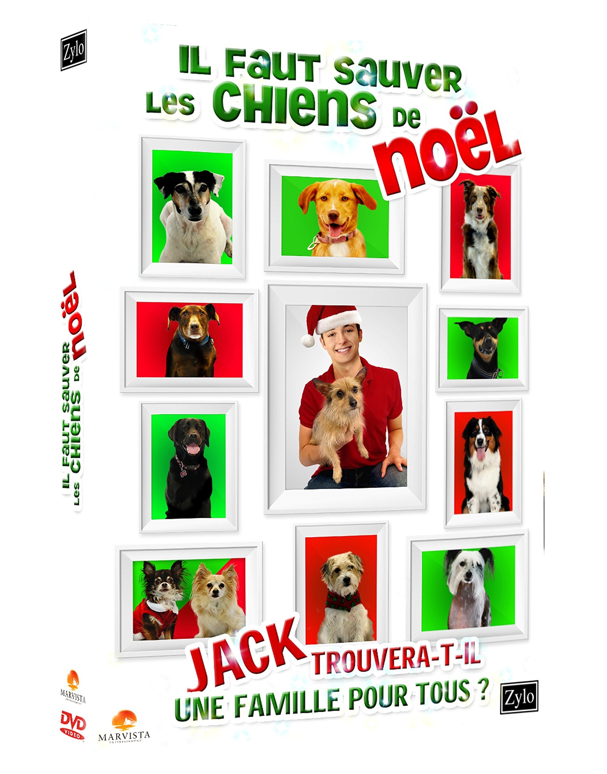 Il Faut sauver Les Chiens de Noël 3760121809704