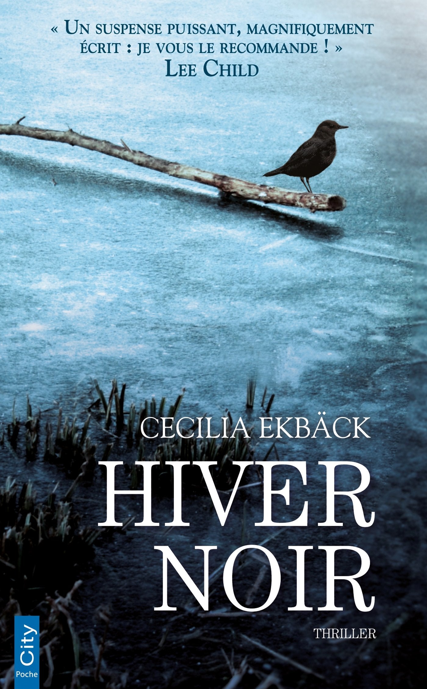 Hiver Noir 9782824609201
