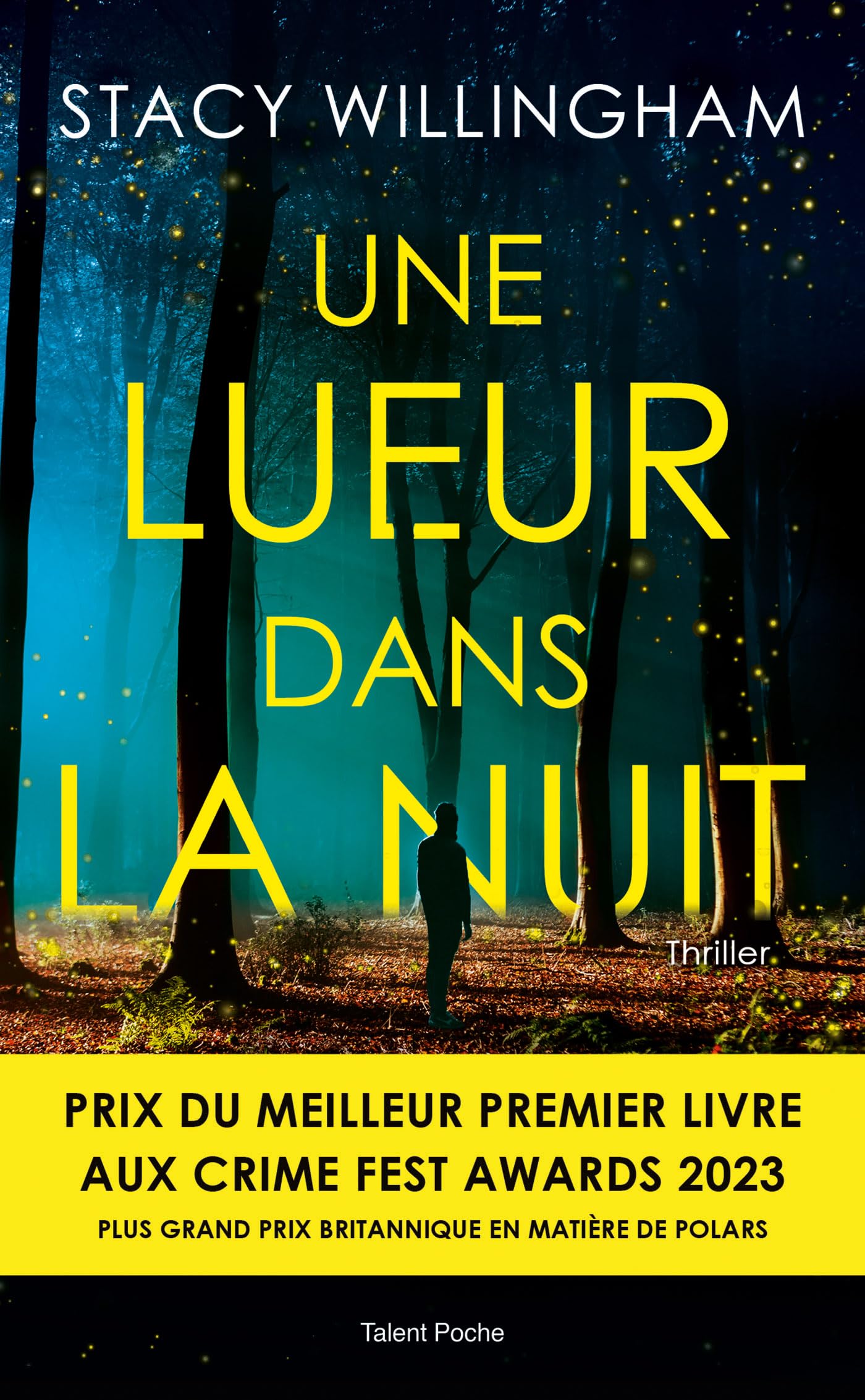 Une lueur dans la nuit - Thriller psychologique - Meilleur premier livre Crime Fest Awards 2023 9782378153212