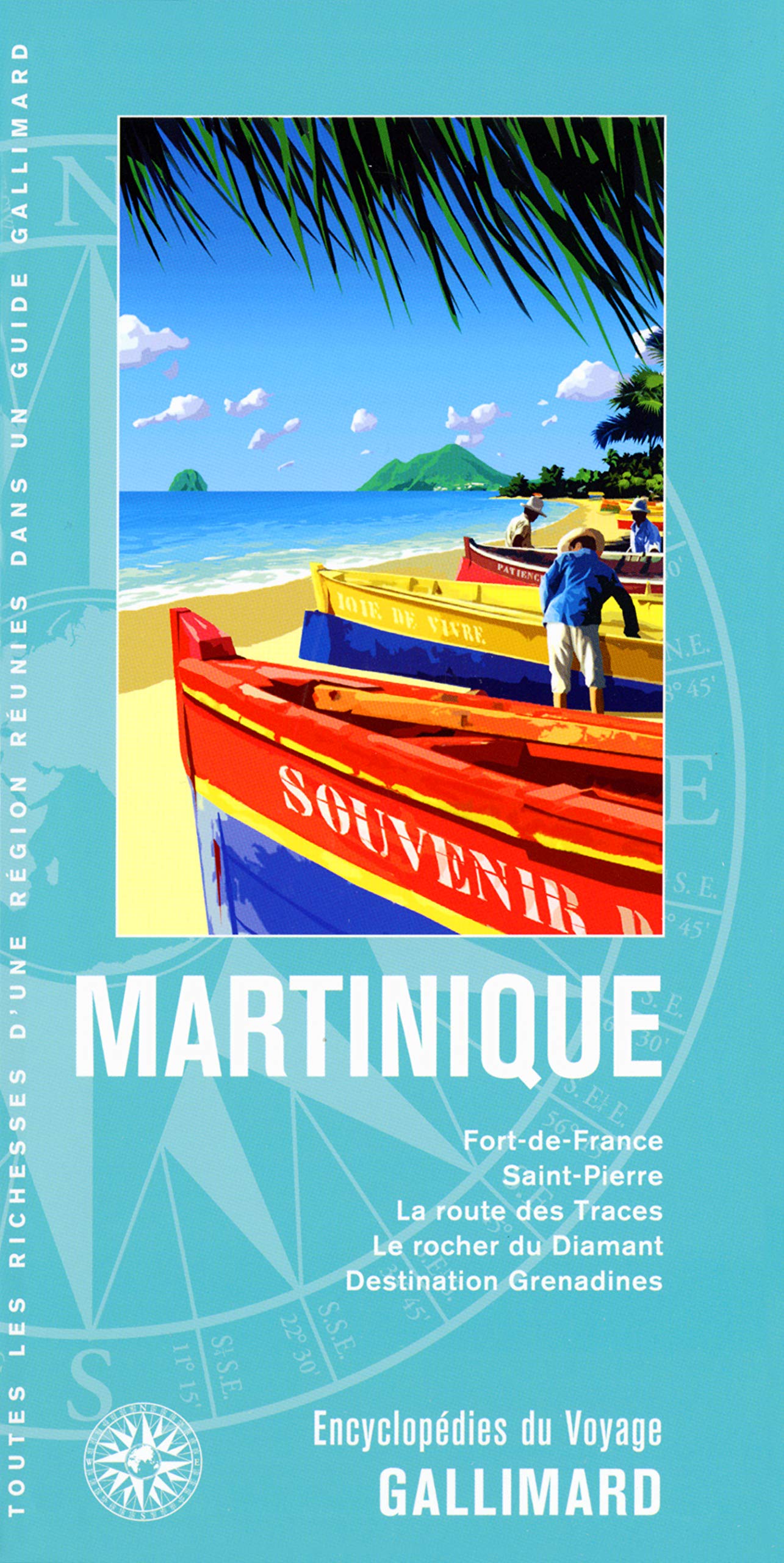 Guide Martinique 9782742448142