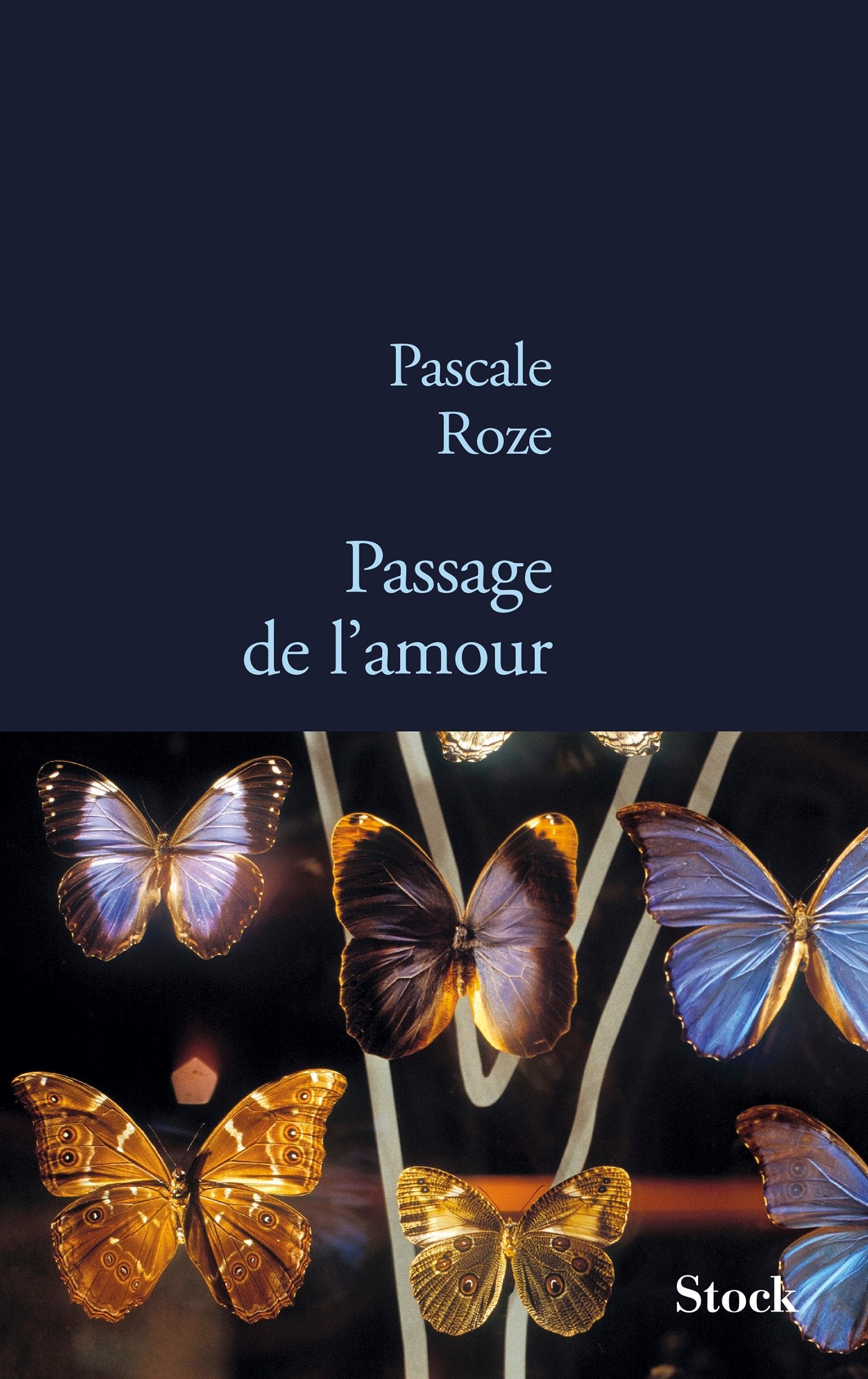 PASSAGE DE L AMOUR 9782234071544