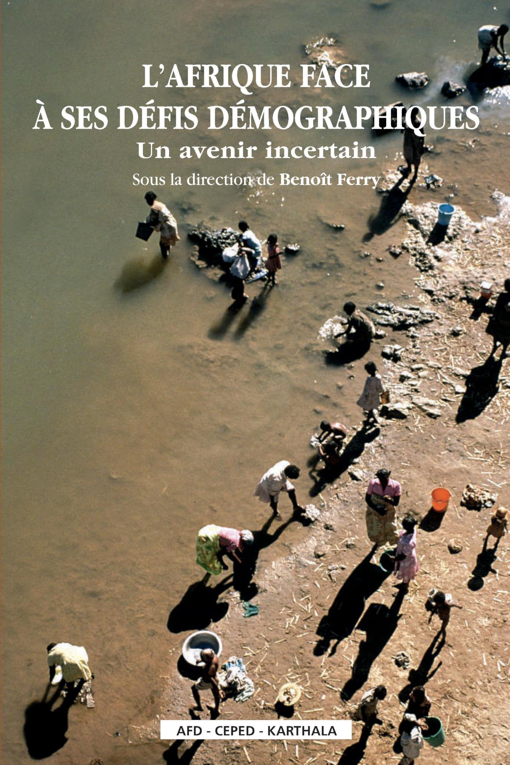 L'Afrique face à ses défis démographiques : Un avenir incertain 9782845869448