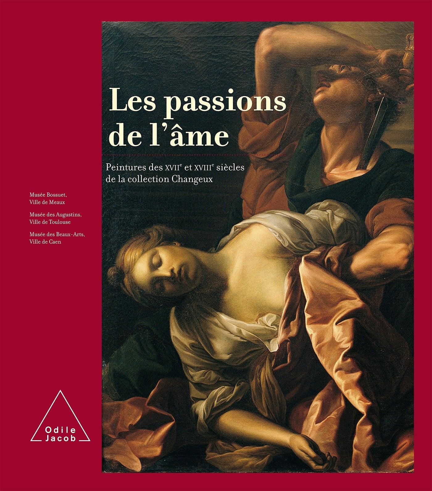 Les Passions de l'âme: Peintures des XVIIe et XVIIIe siècles de la collection Changeux 9782738118103