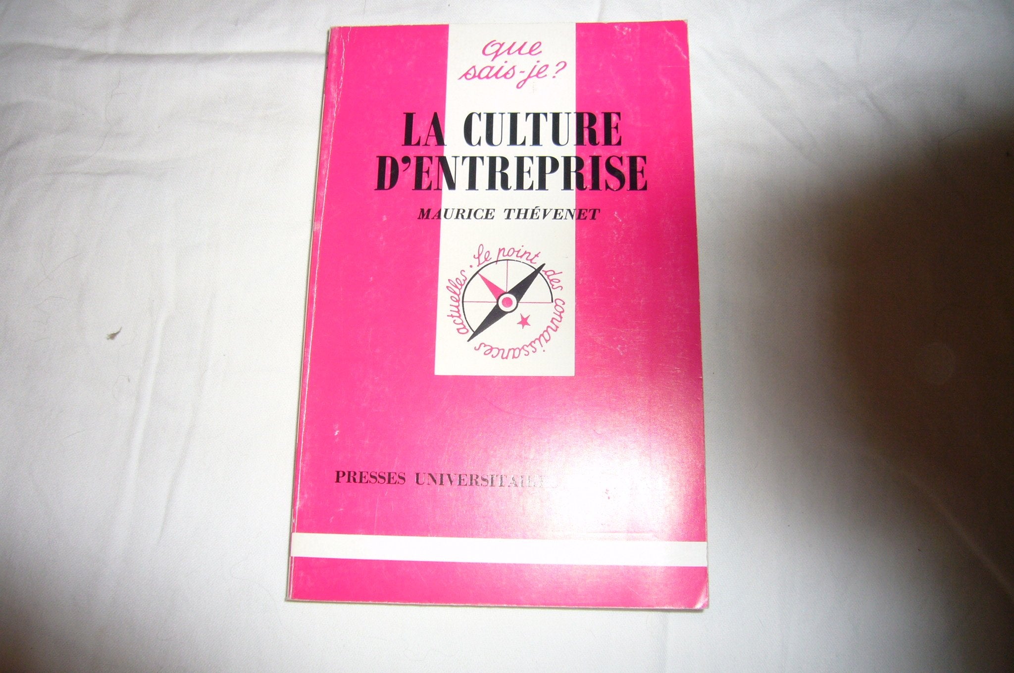 La culture d'entreprise 9782130453987