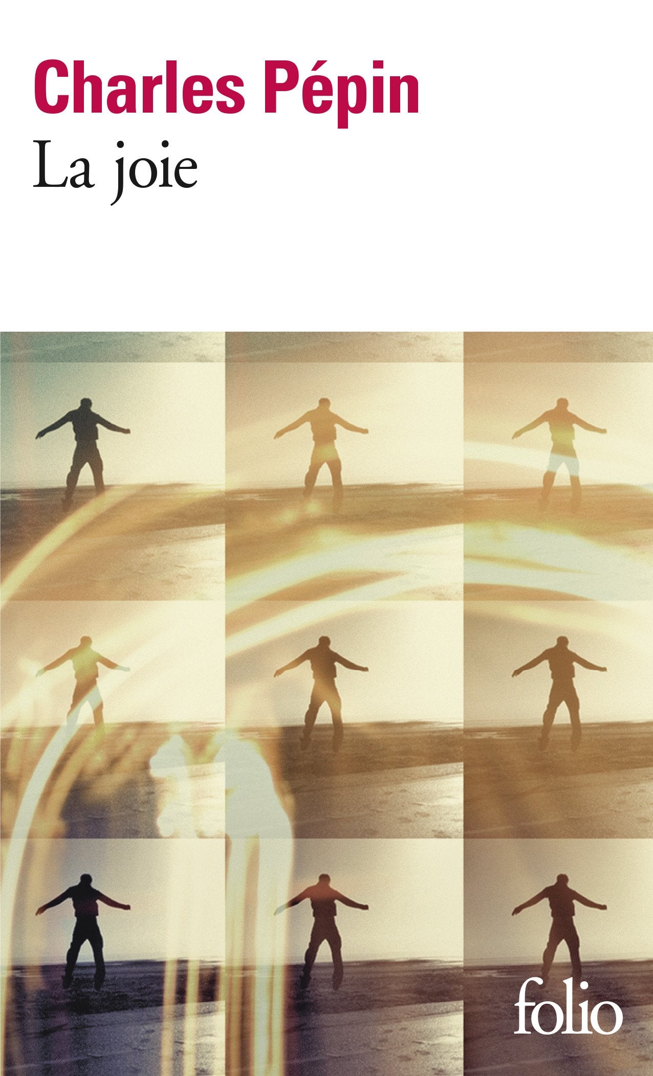 La joie 9782070467495