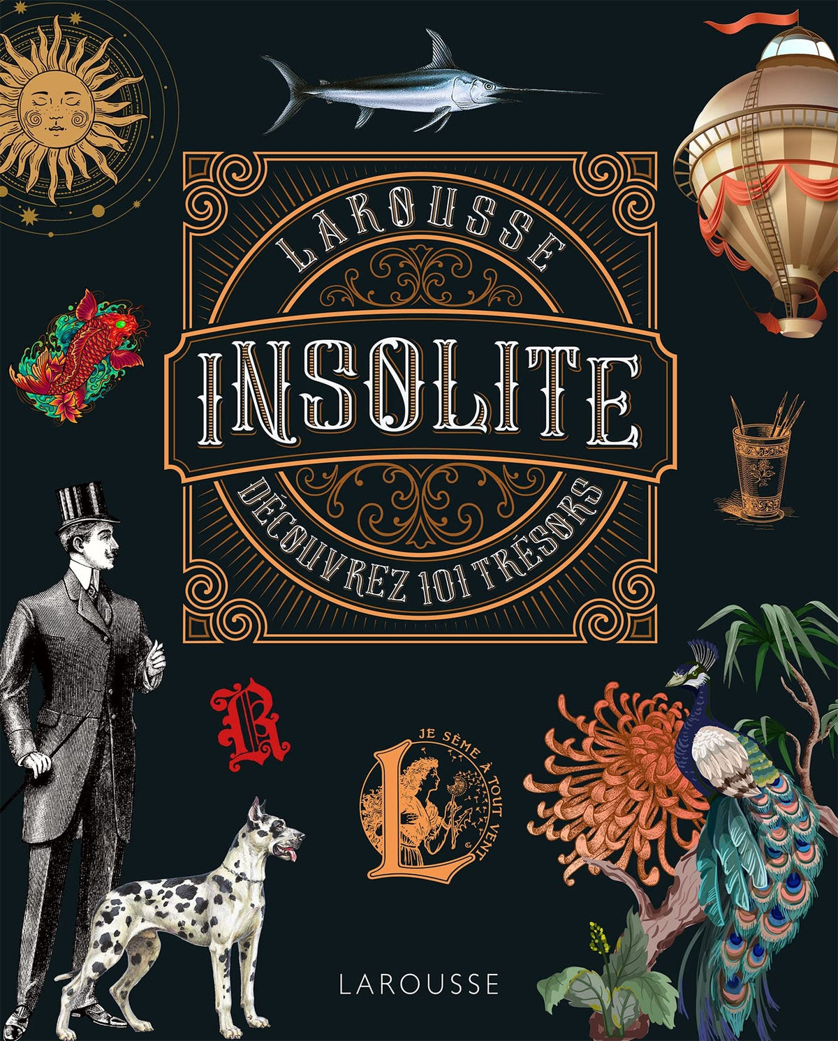 L'insolite 9782036013872