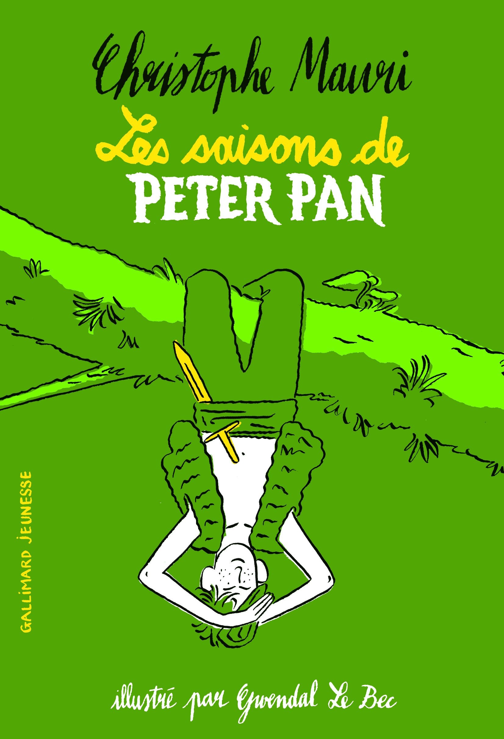 Les saisons de Peter Pan 9782075076722