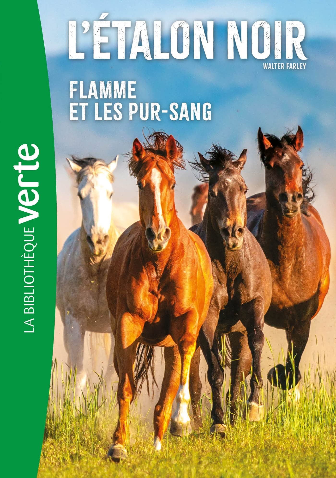 L'Etalon Noir NED 11 - Flamme et les pur-sang 9782017204121