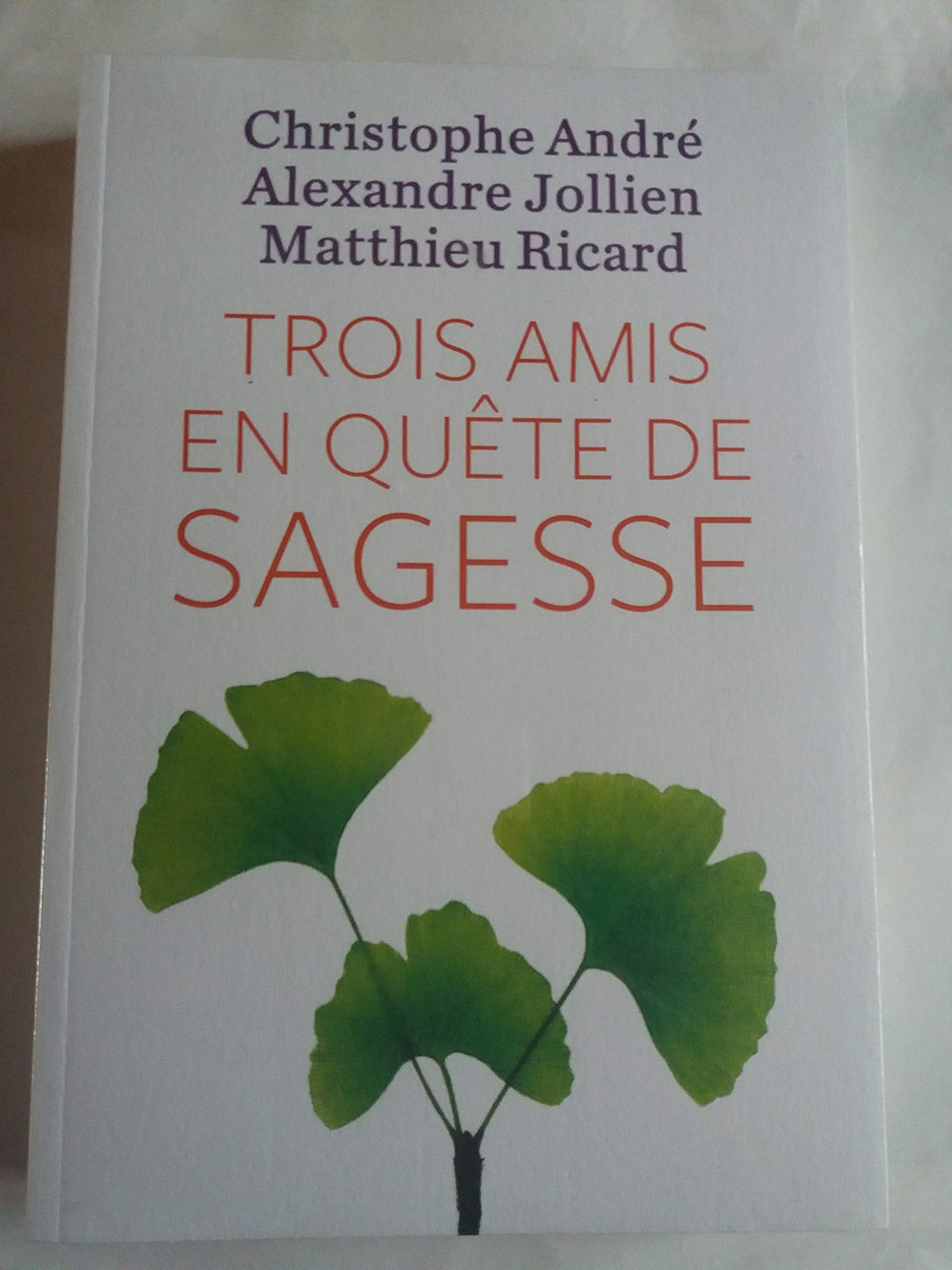 Trois amis en quête de sagesse 9782298115260