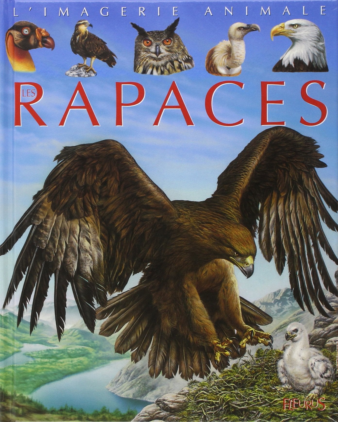 Les rapaces 9782215088295