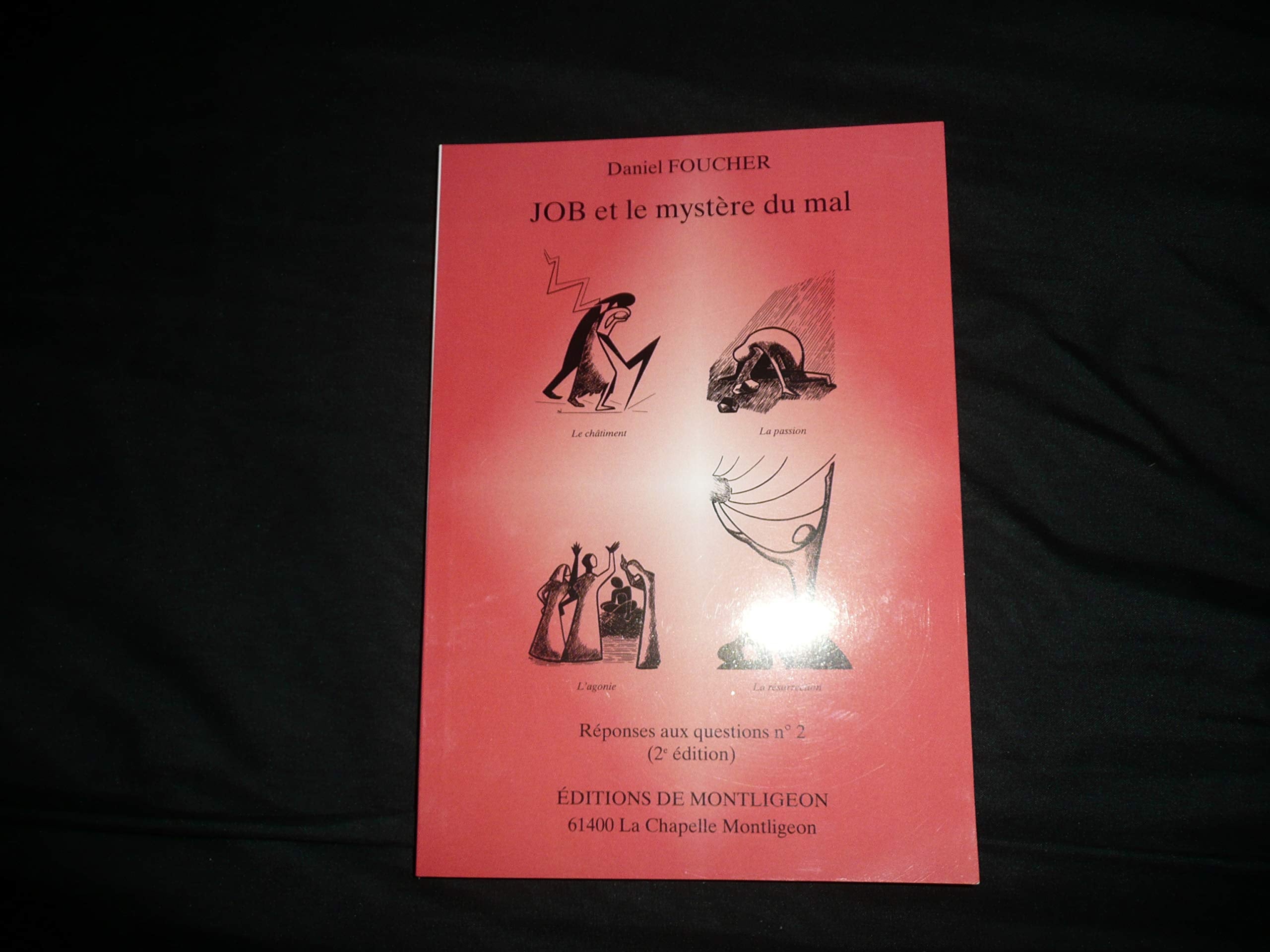 Réponses aux questions Tome 2: Job et le mystère du mal 9782908129403
