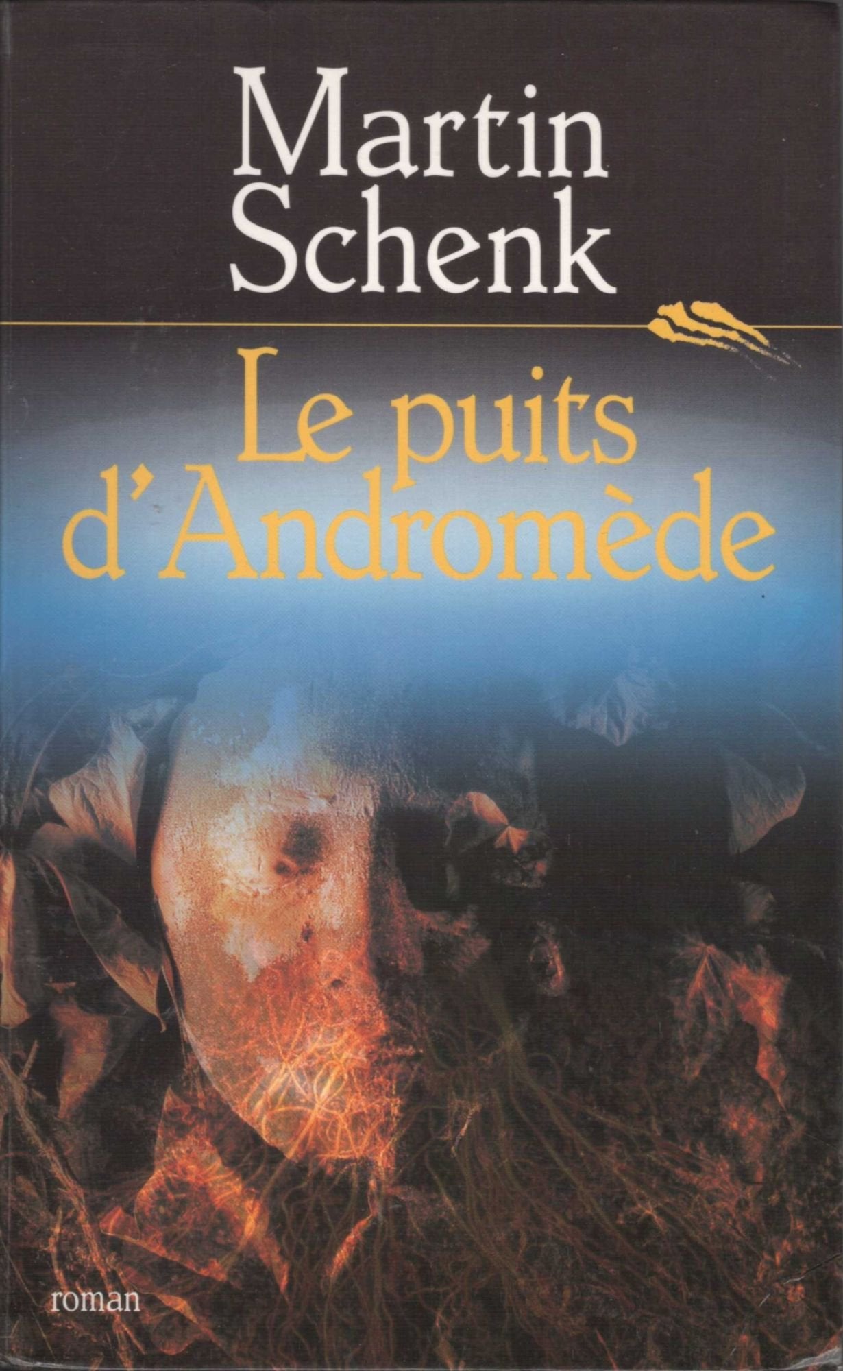 Le puits d'Andromède 9782702821787