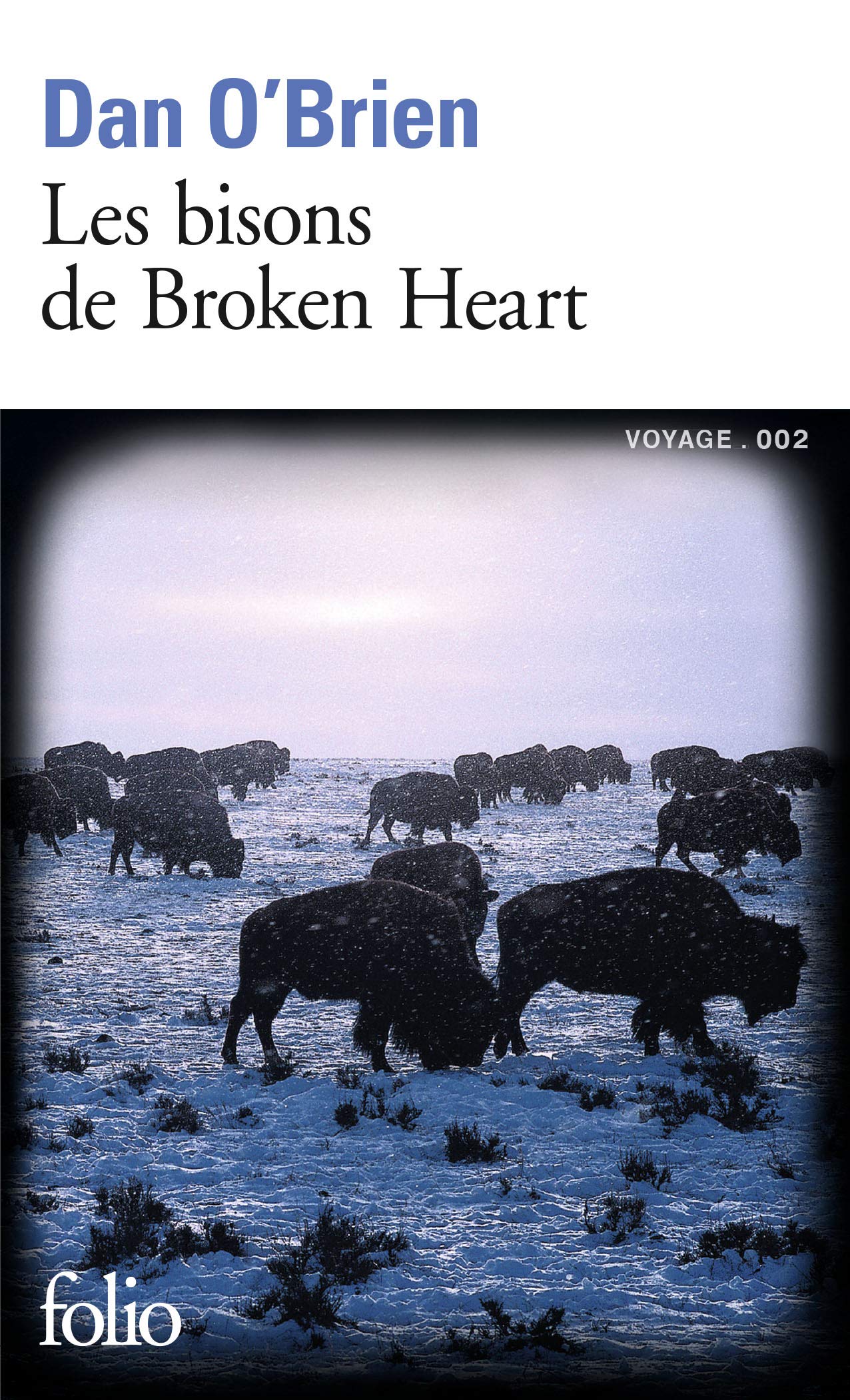 Les bisons de Broken Heart 9782070360680