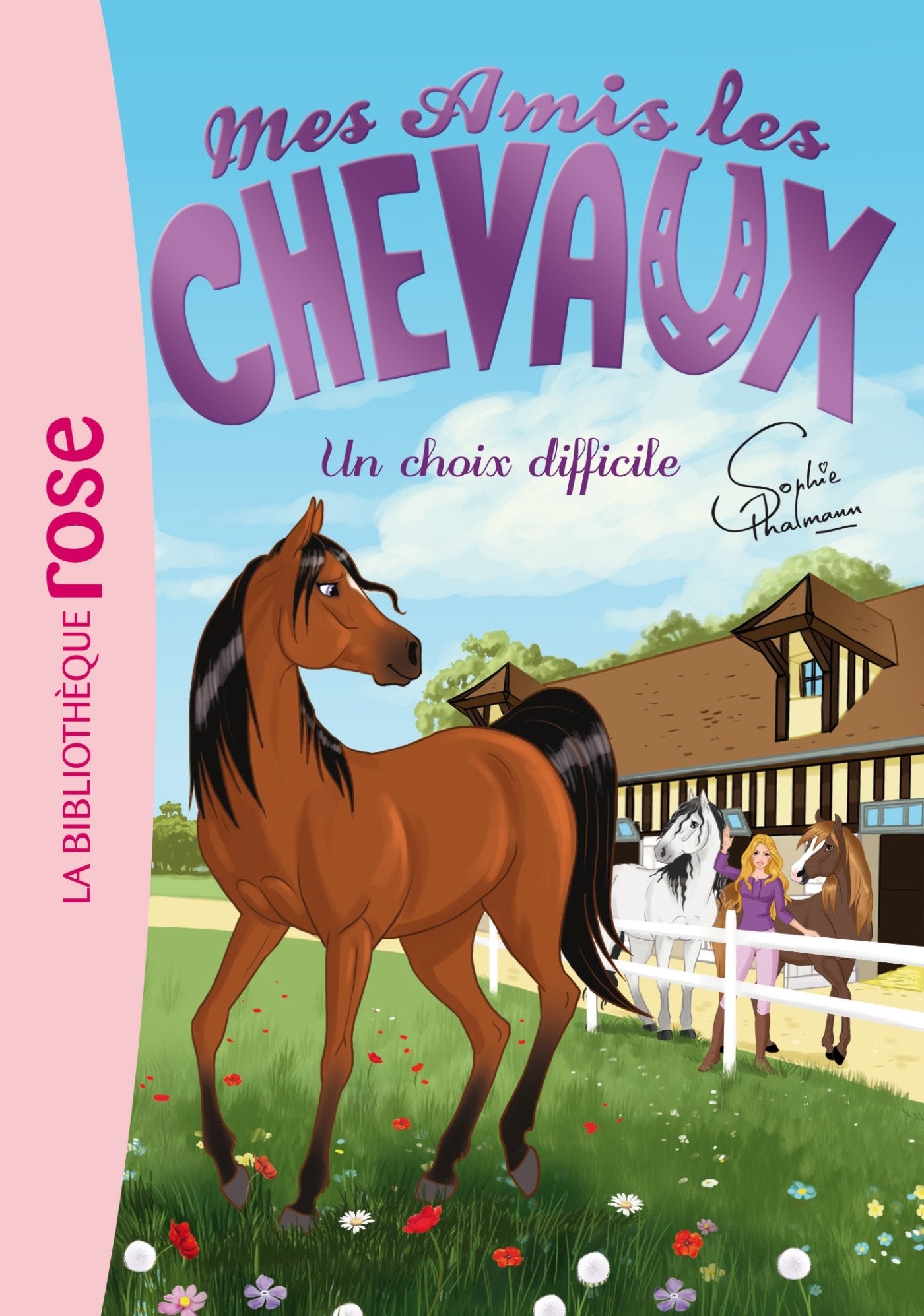 Mes amis les chevaux, tome 3 : Un choix difficile 9782012041905