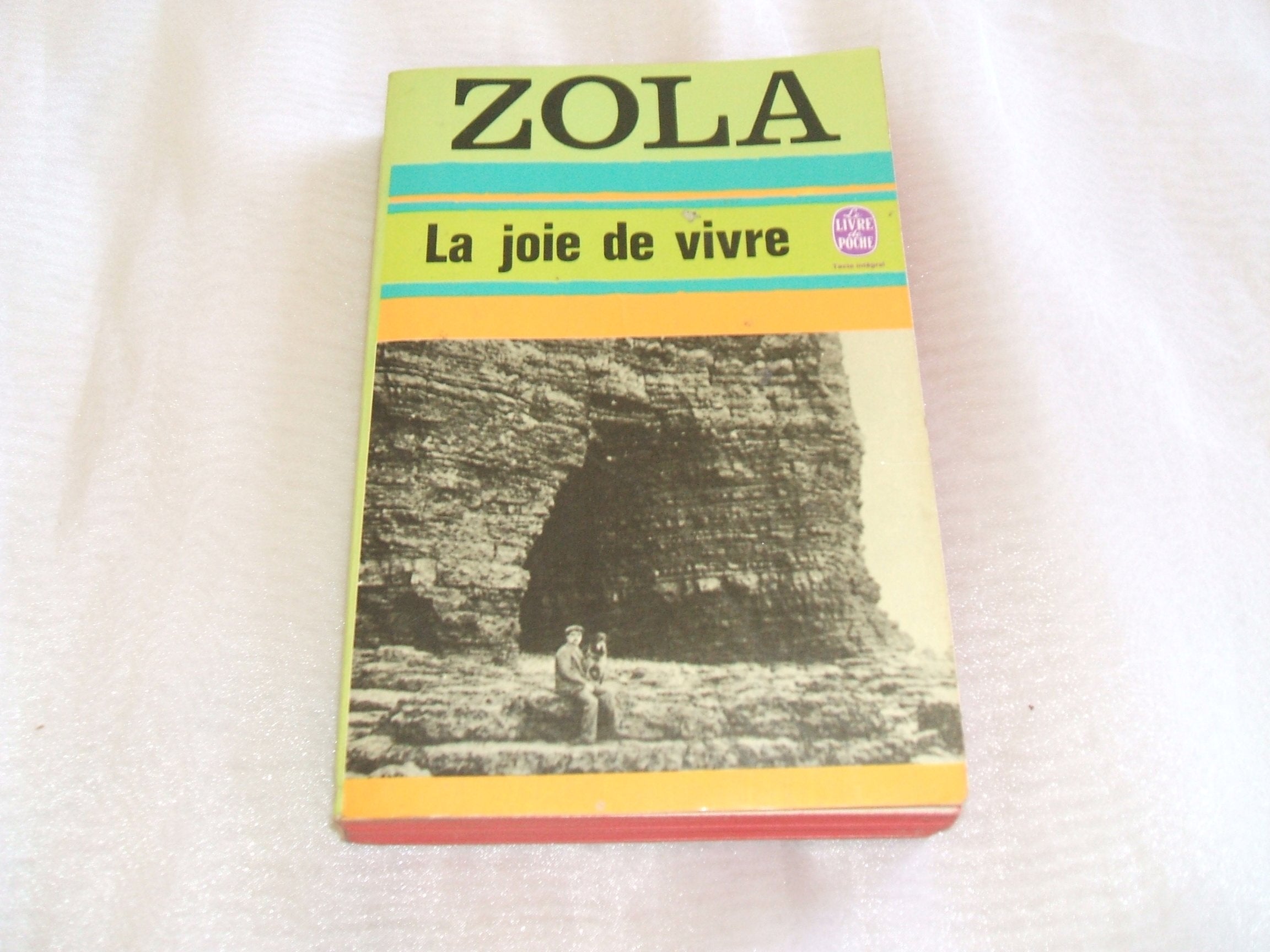 La Joie de vivre 9782253007135