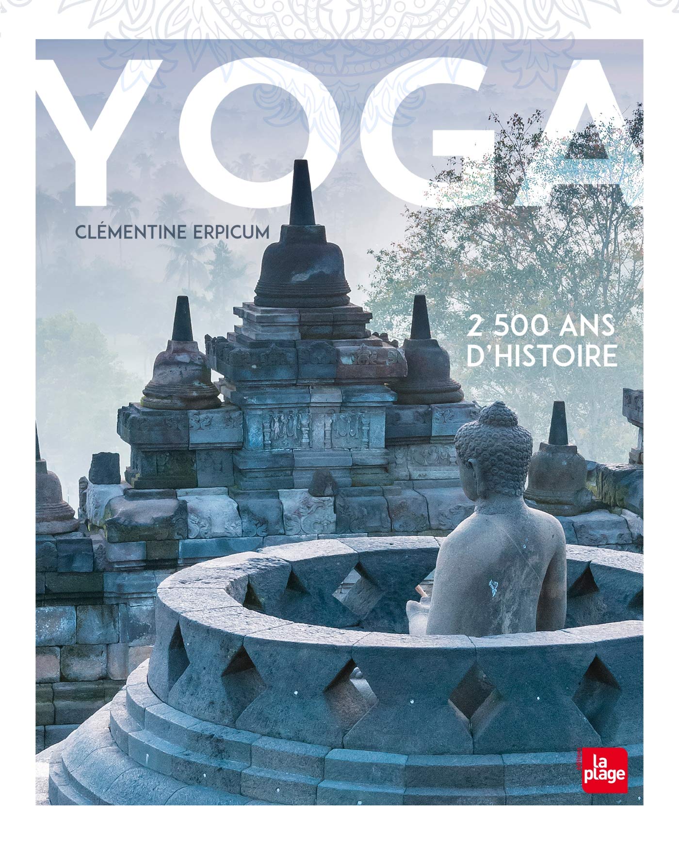 Yoga, 2 500 ans d'histoire 9782842218317