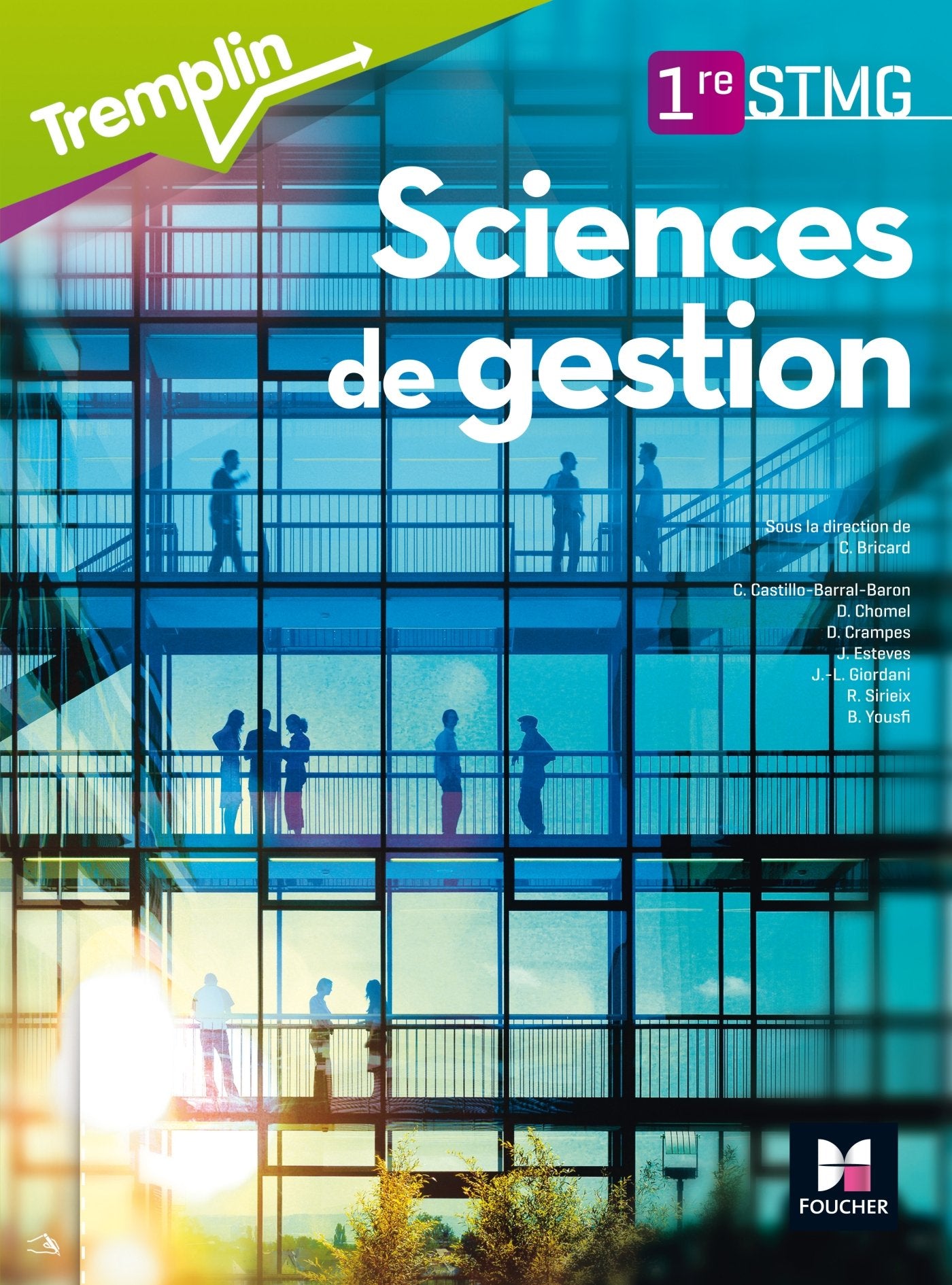 Tremplin - SCIENCES DE GESTION - 1re BAC STMG 9782216132348