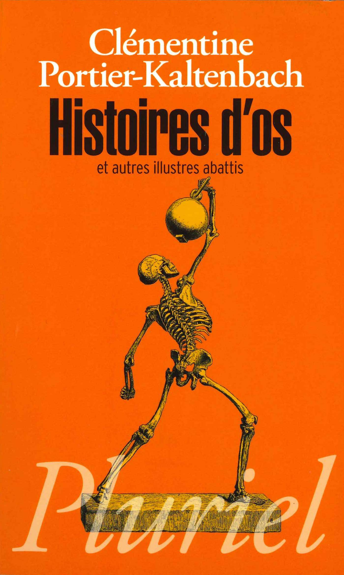 Histoires d'os et autres illustres abattis: Morceaux choisis de l'histoire de France 9782818502648