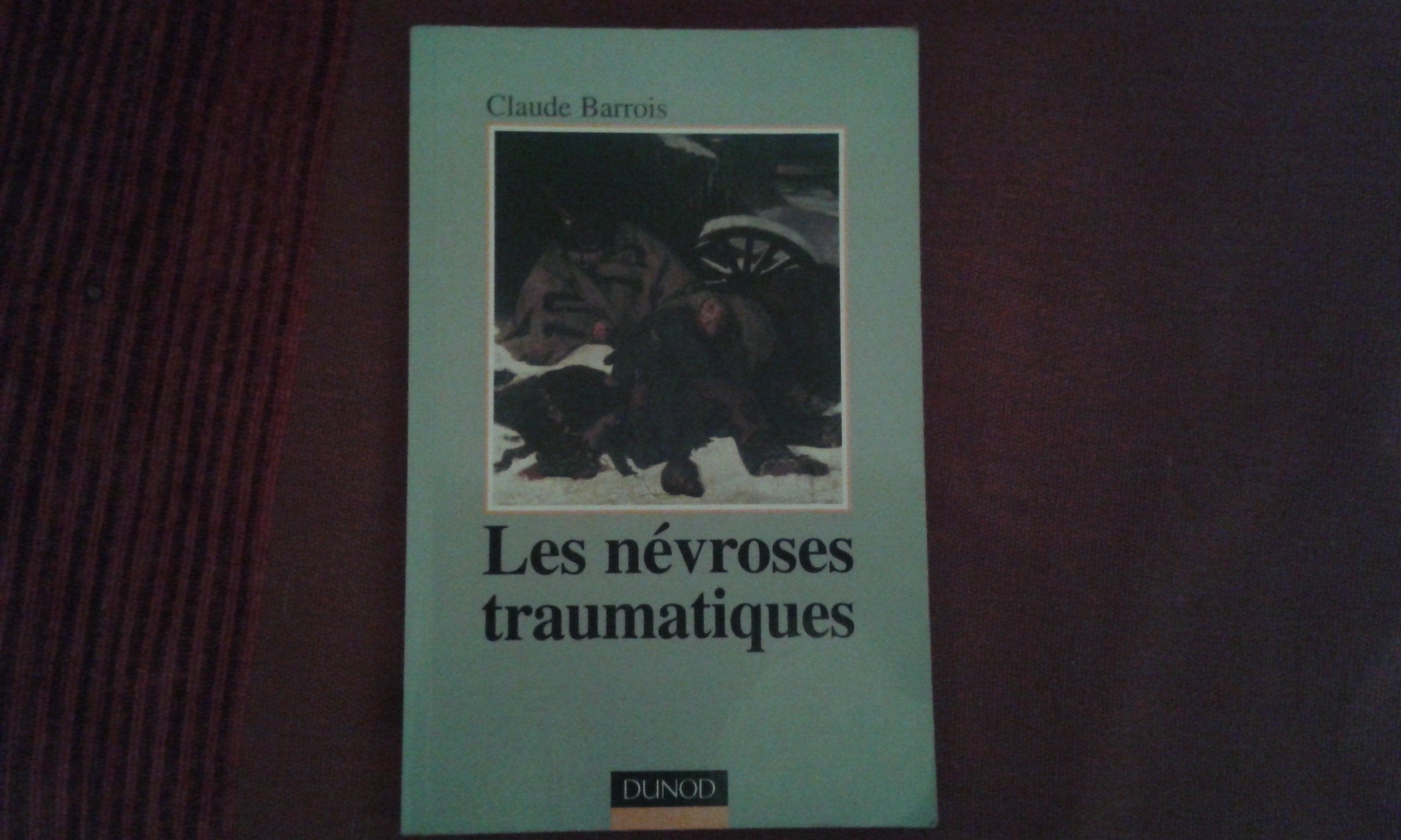 Les névroses traumatiques : Le psychothérapeute face aux détresses des chocs psychiques 9782100040377