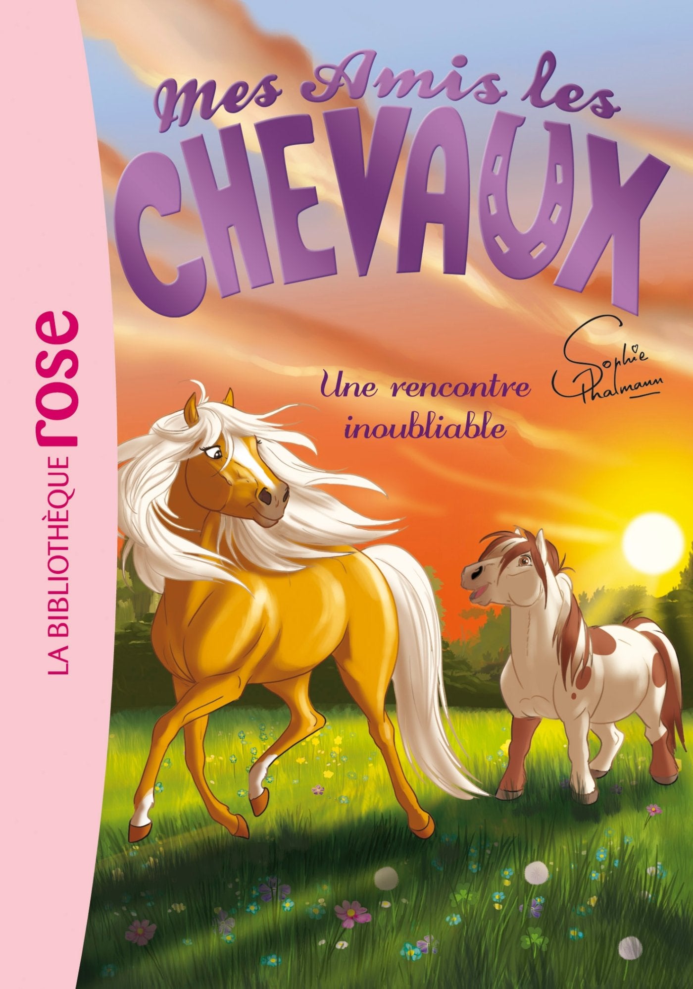 Mes amis les chevaux, tome 6 : Une rencontre inoubliable 9782012045385