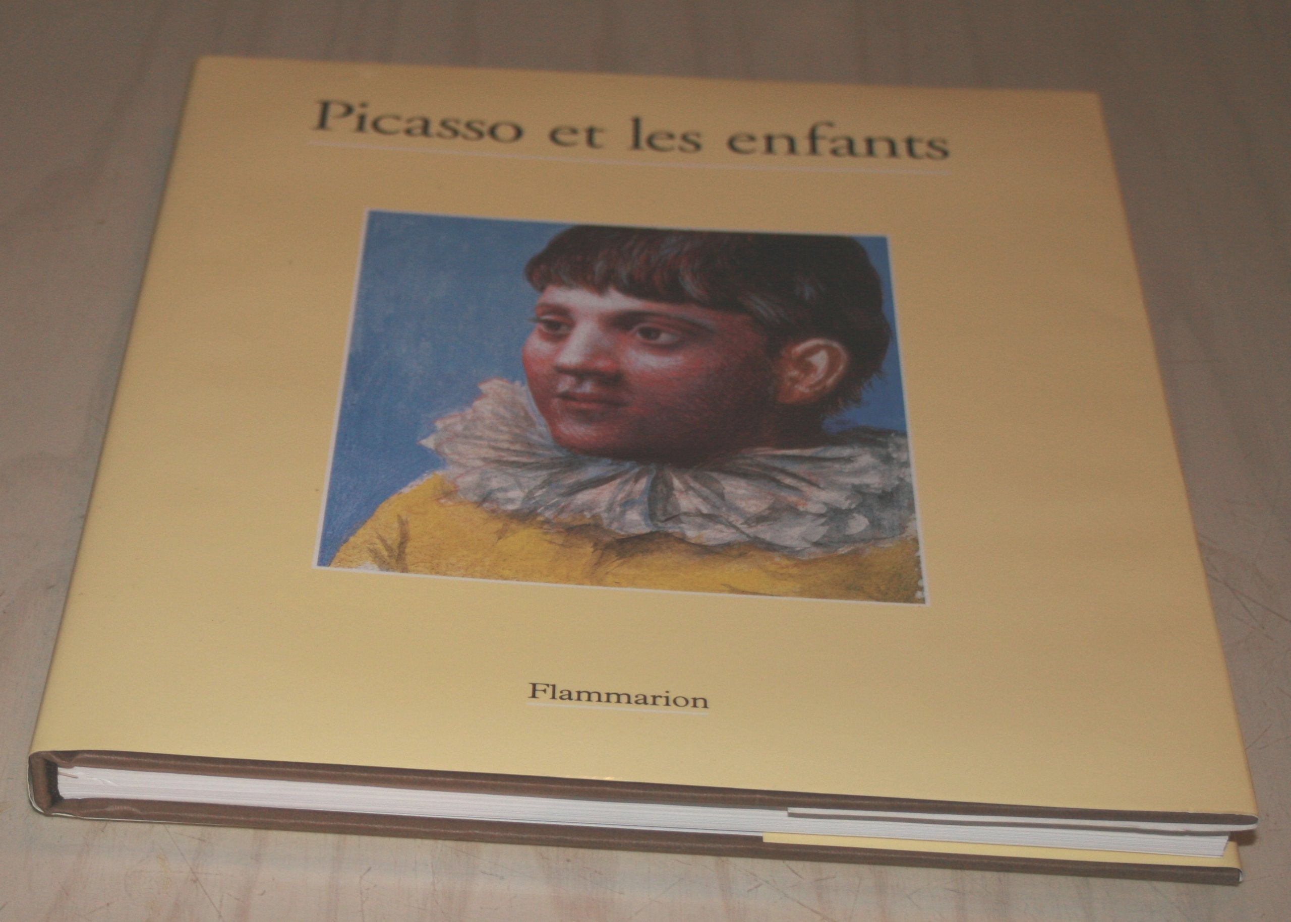 Picasso et les enfants 9782080102133