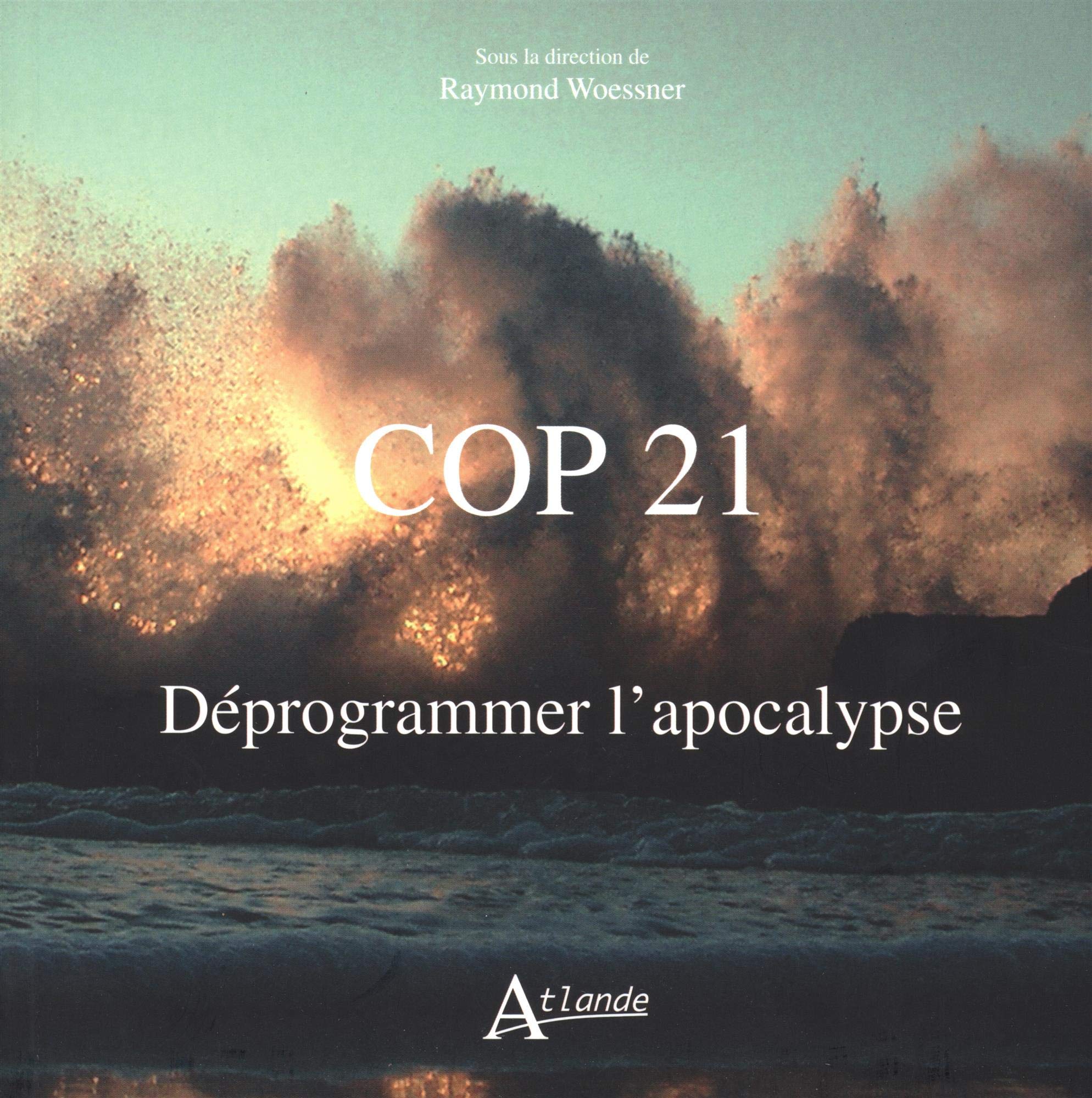 Cop 21 - Déprogrammer l'apocalypse 9782350303475