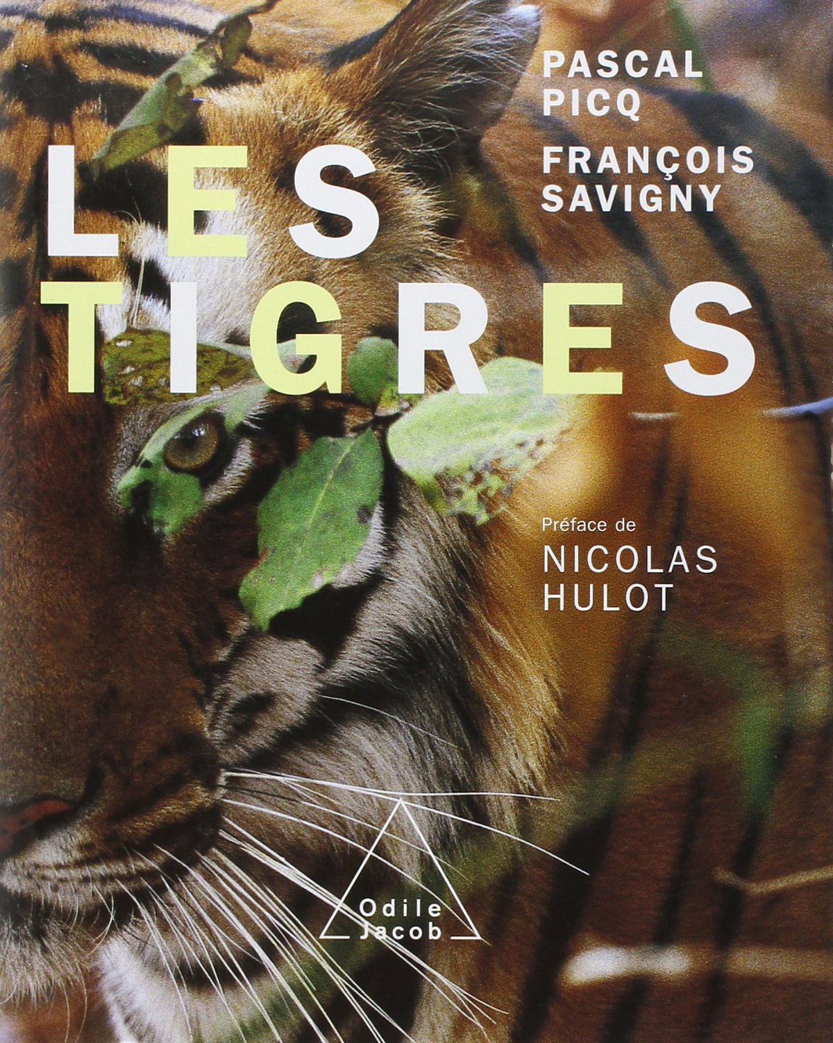 Les Tigres 9782738113429
