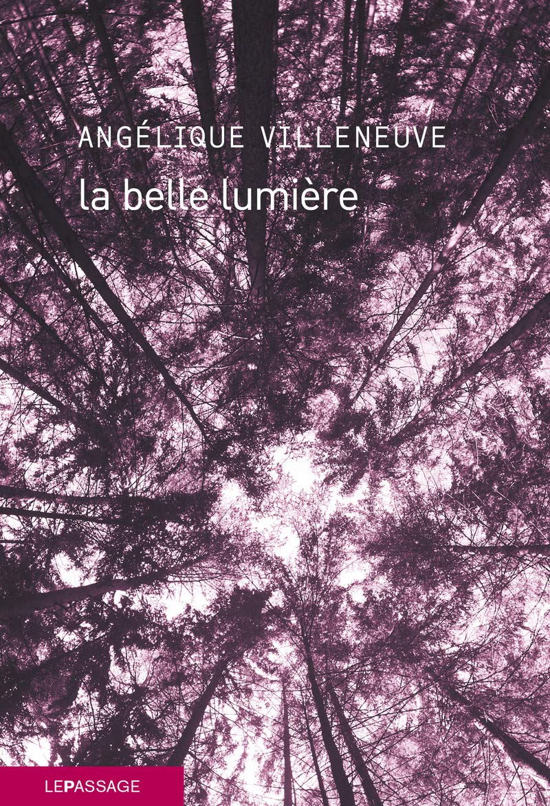 La belle lumière 9782847424478