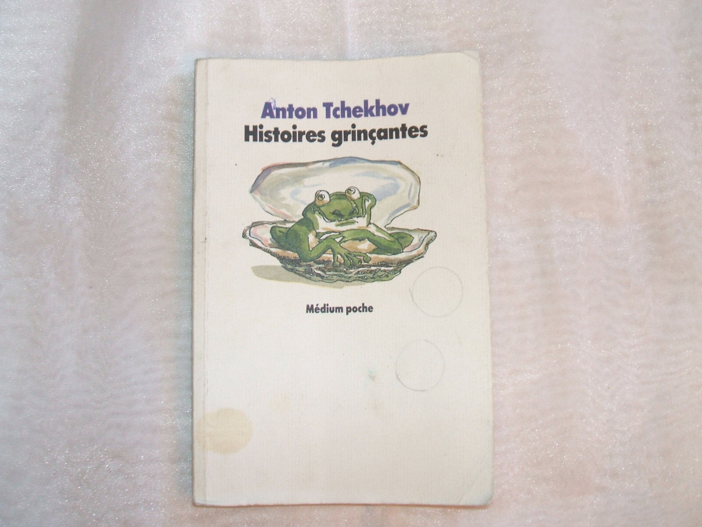 Histoires grinçantes 9782211024228