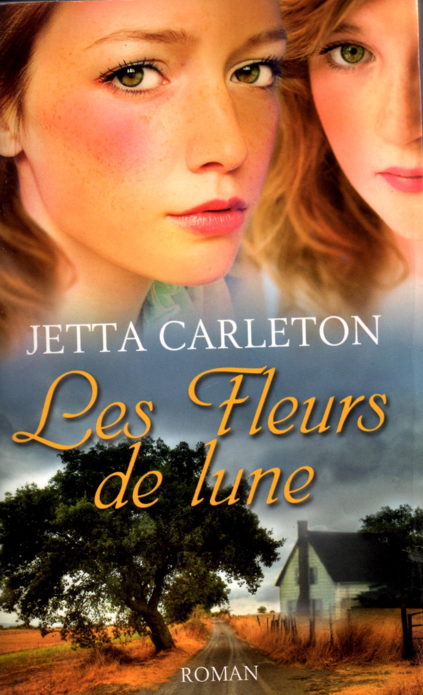 les fleurs de lune 9782298035513