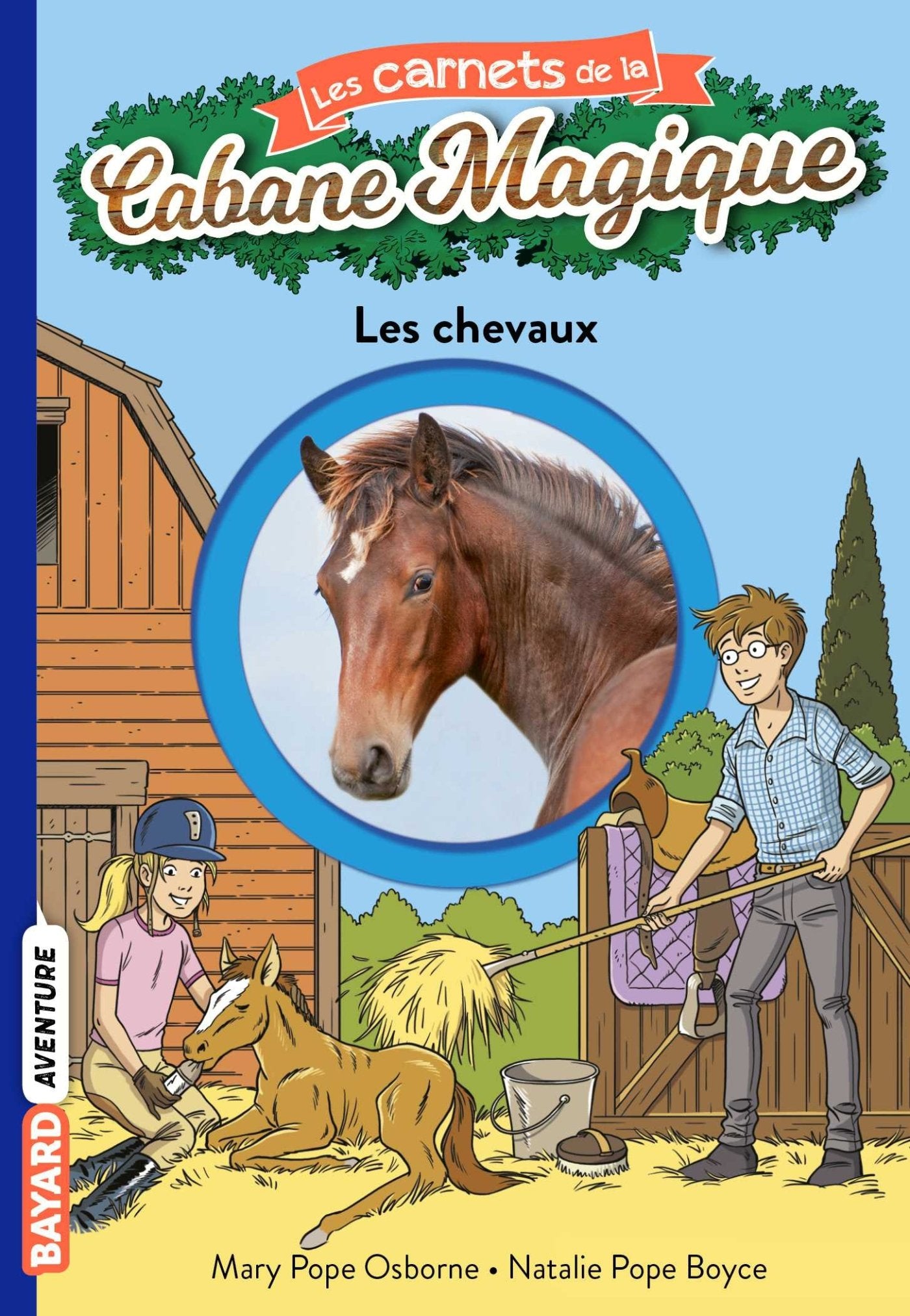 Les carnets de la cabane magique, Tome 23: Les chevaux 9782747065801