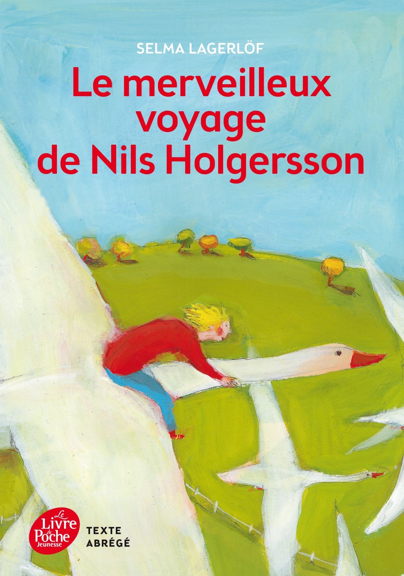Le merveilleux voyage de Nils Holgersson 9782011611529