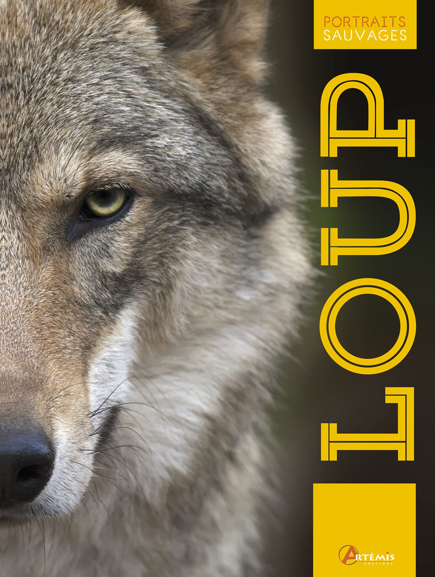 Le loup 9782816012156